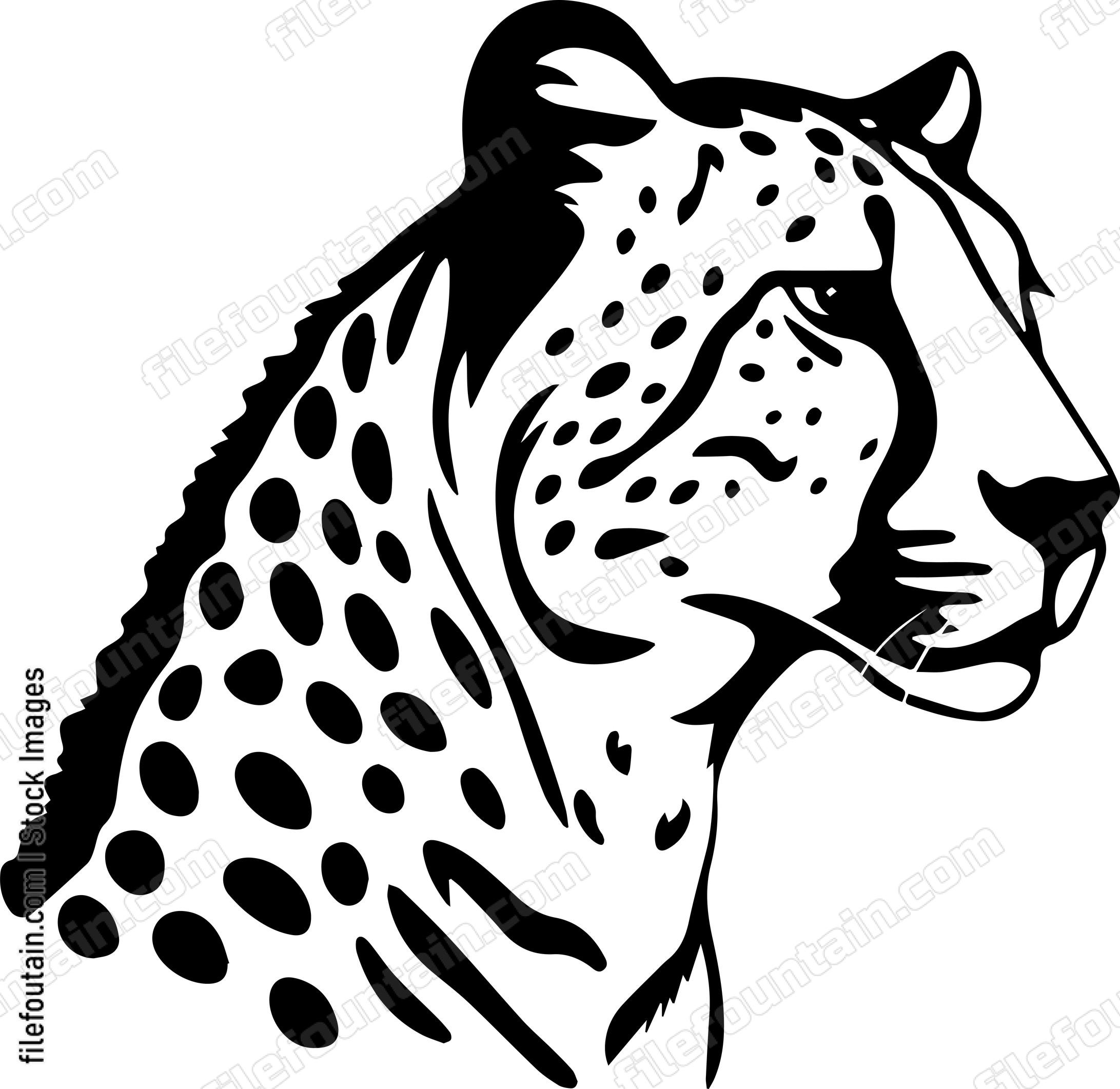 Cheetah