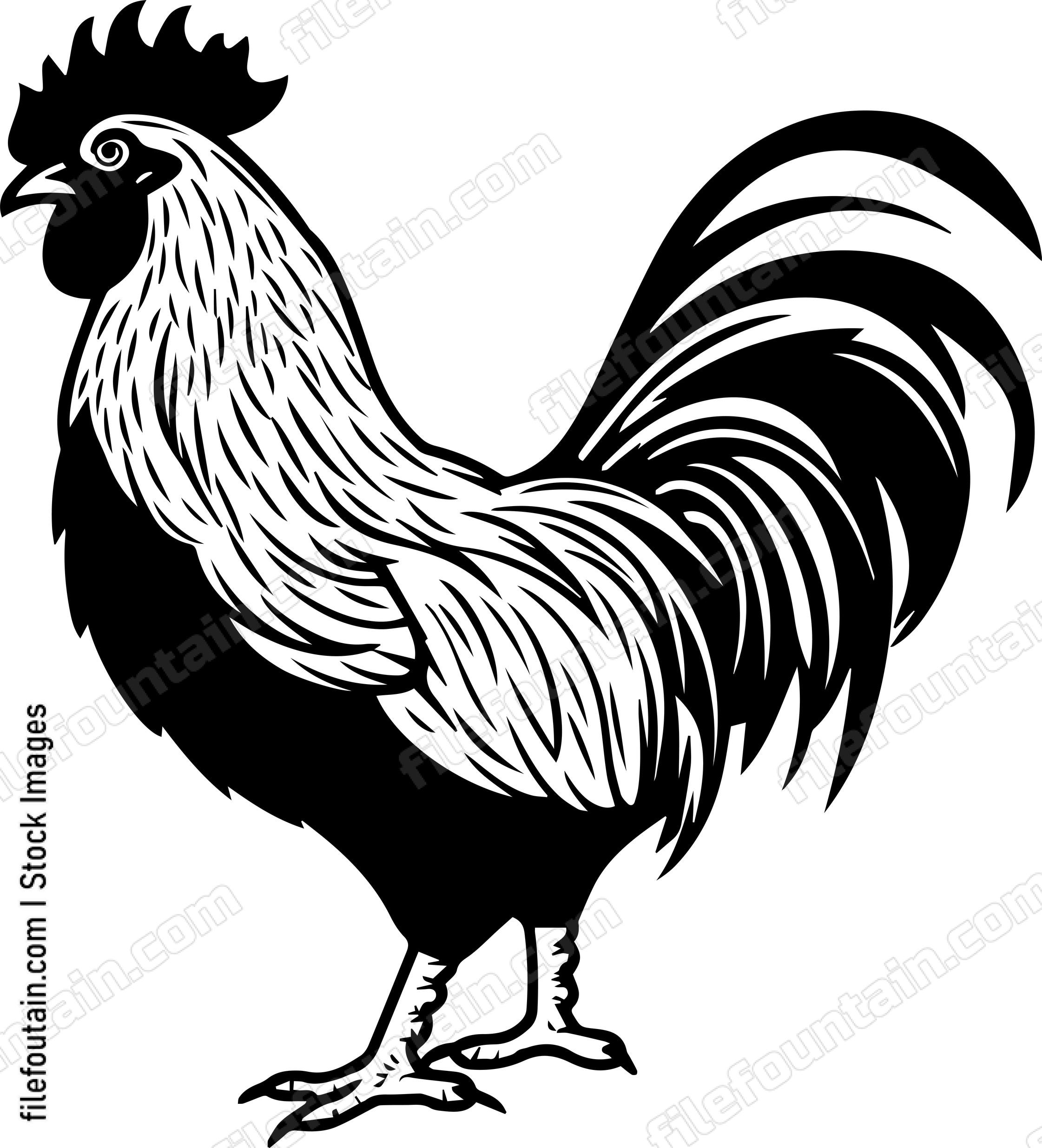 Chicken
