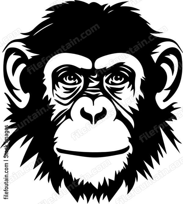 Chimp Monkey Cham cbc