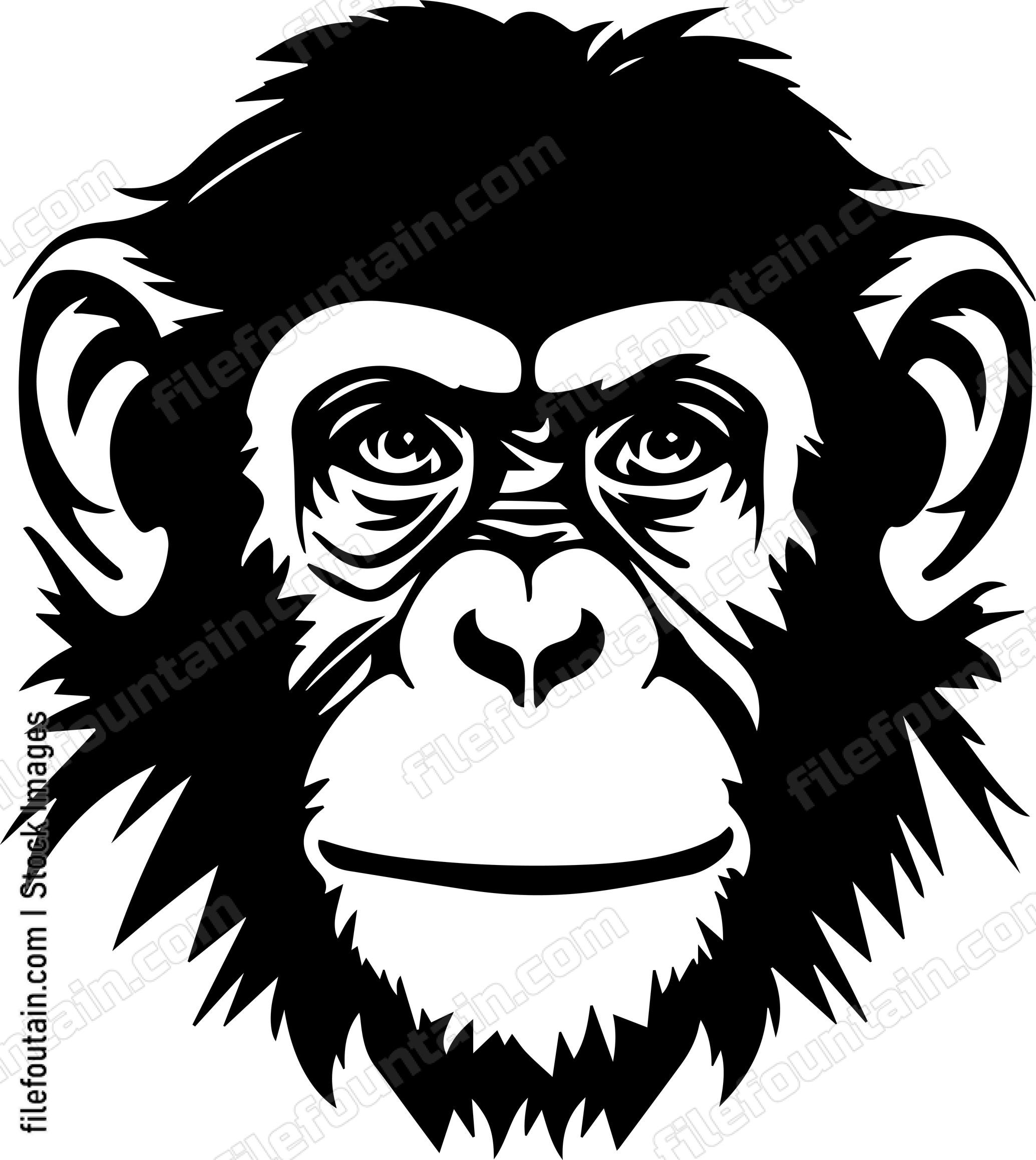 Chimp Monkey Cham cbc