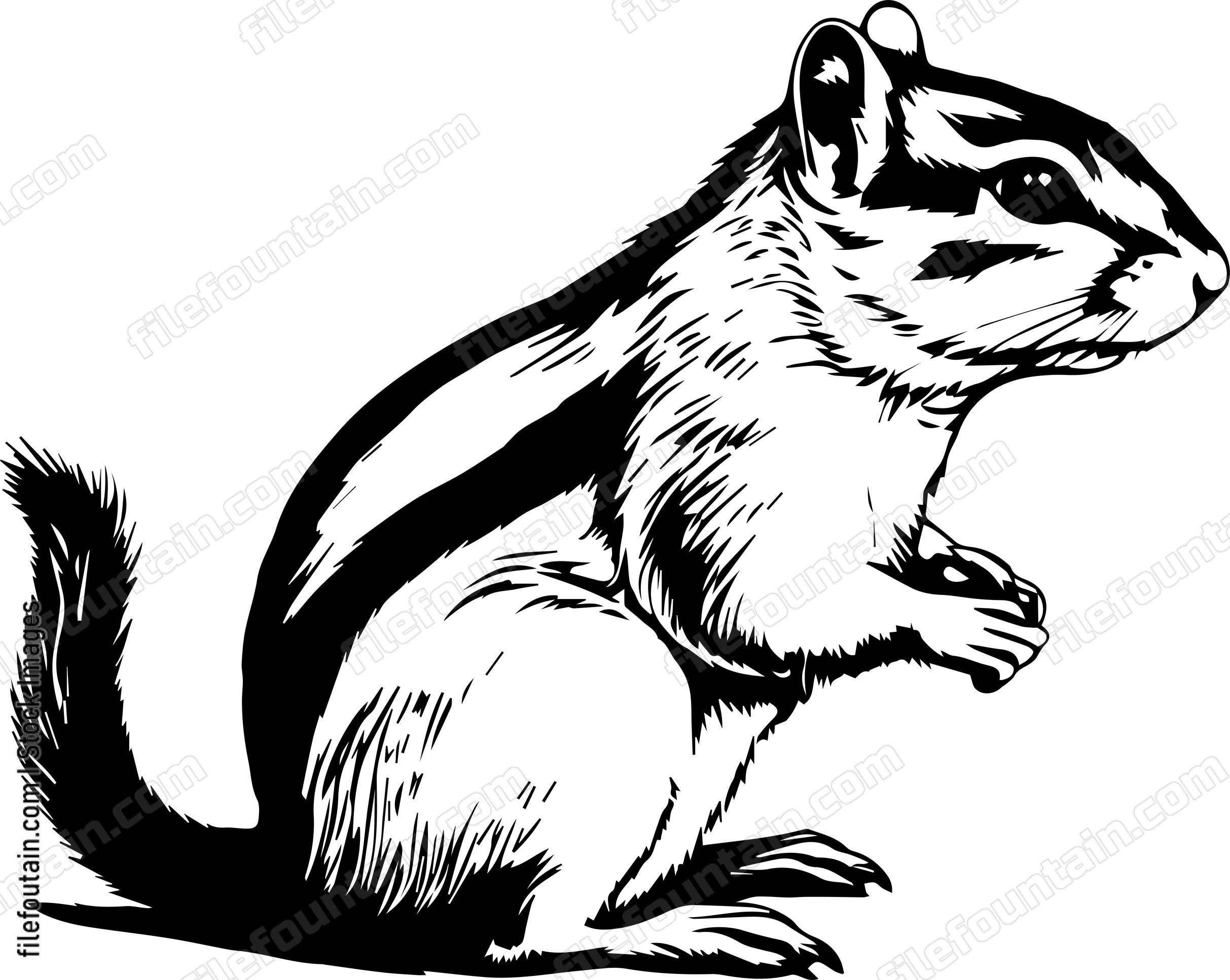 Chipmunk