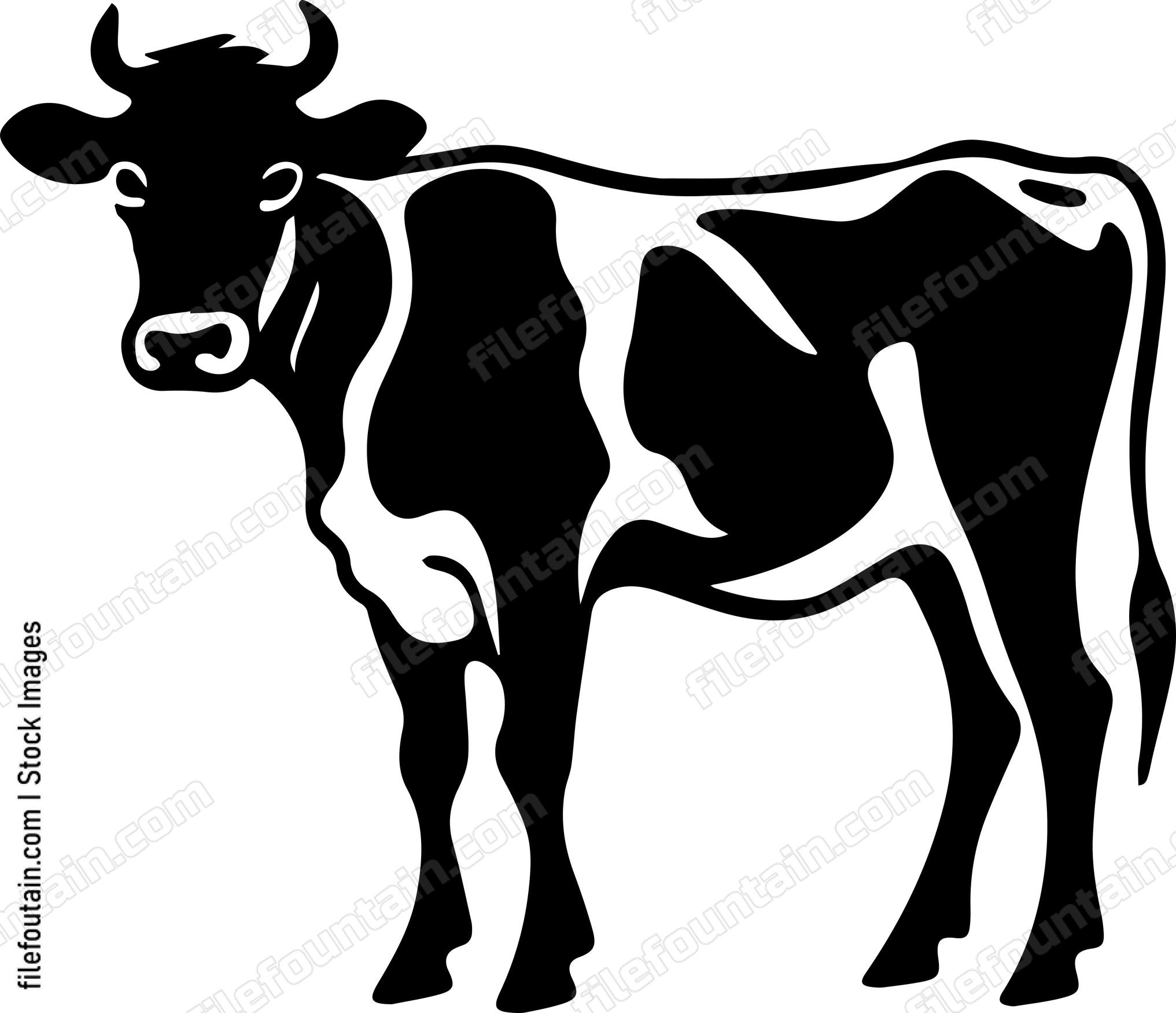 Cow