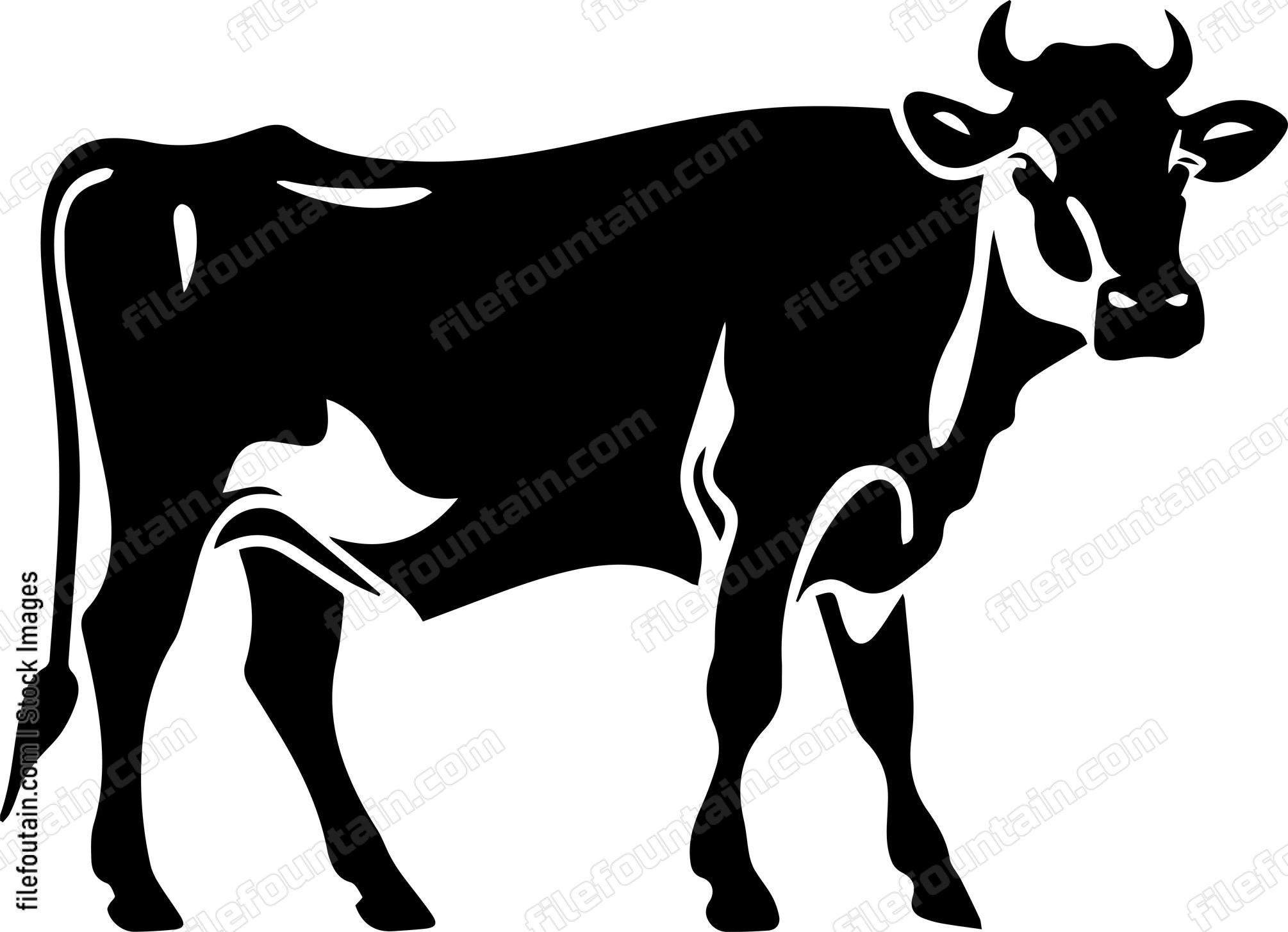 Cow