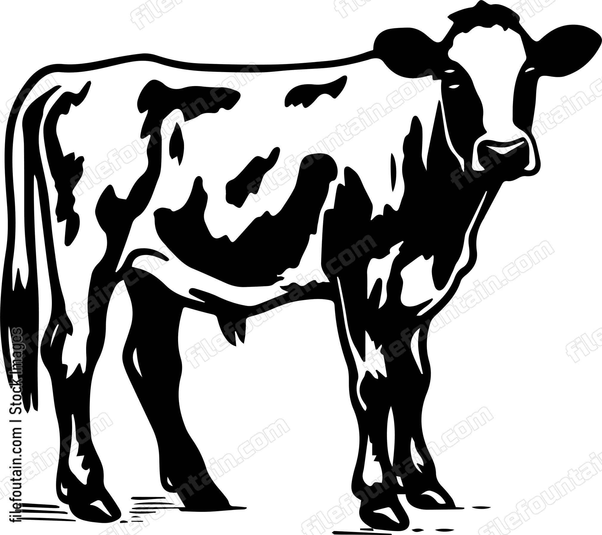 Cow