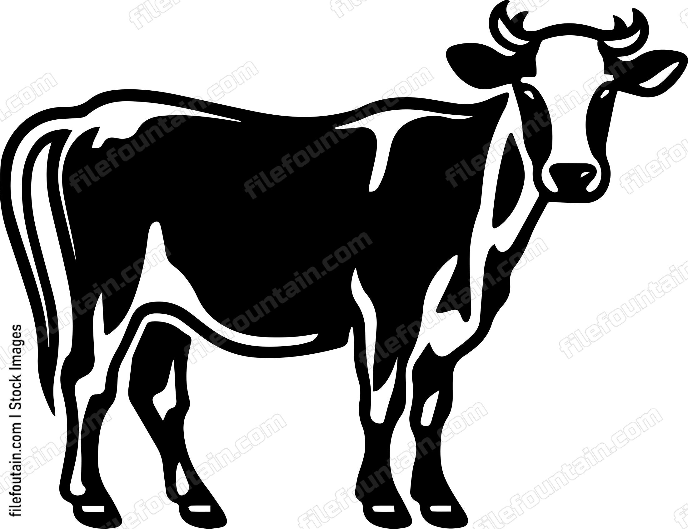 Cow