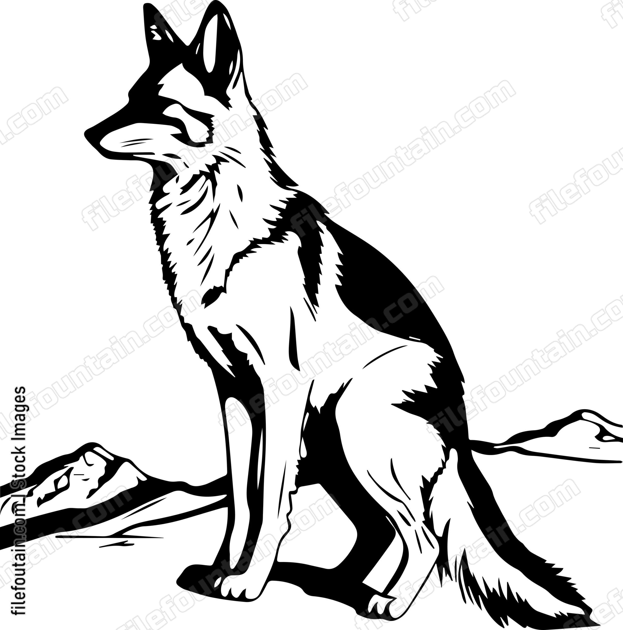 Coyote