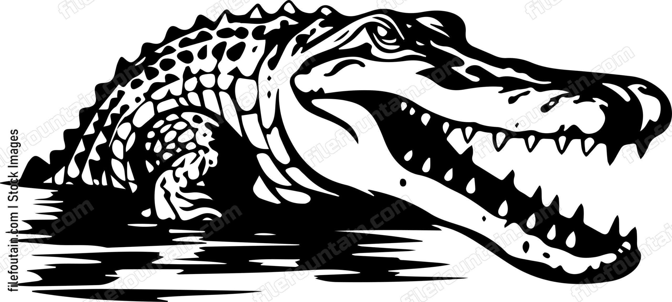 Crocodile