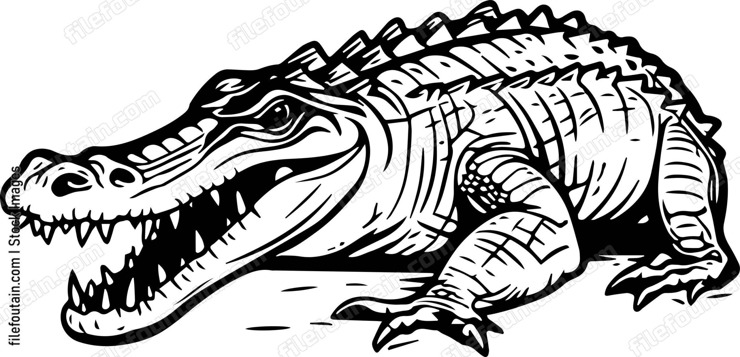 Crocodile