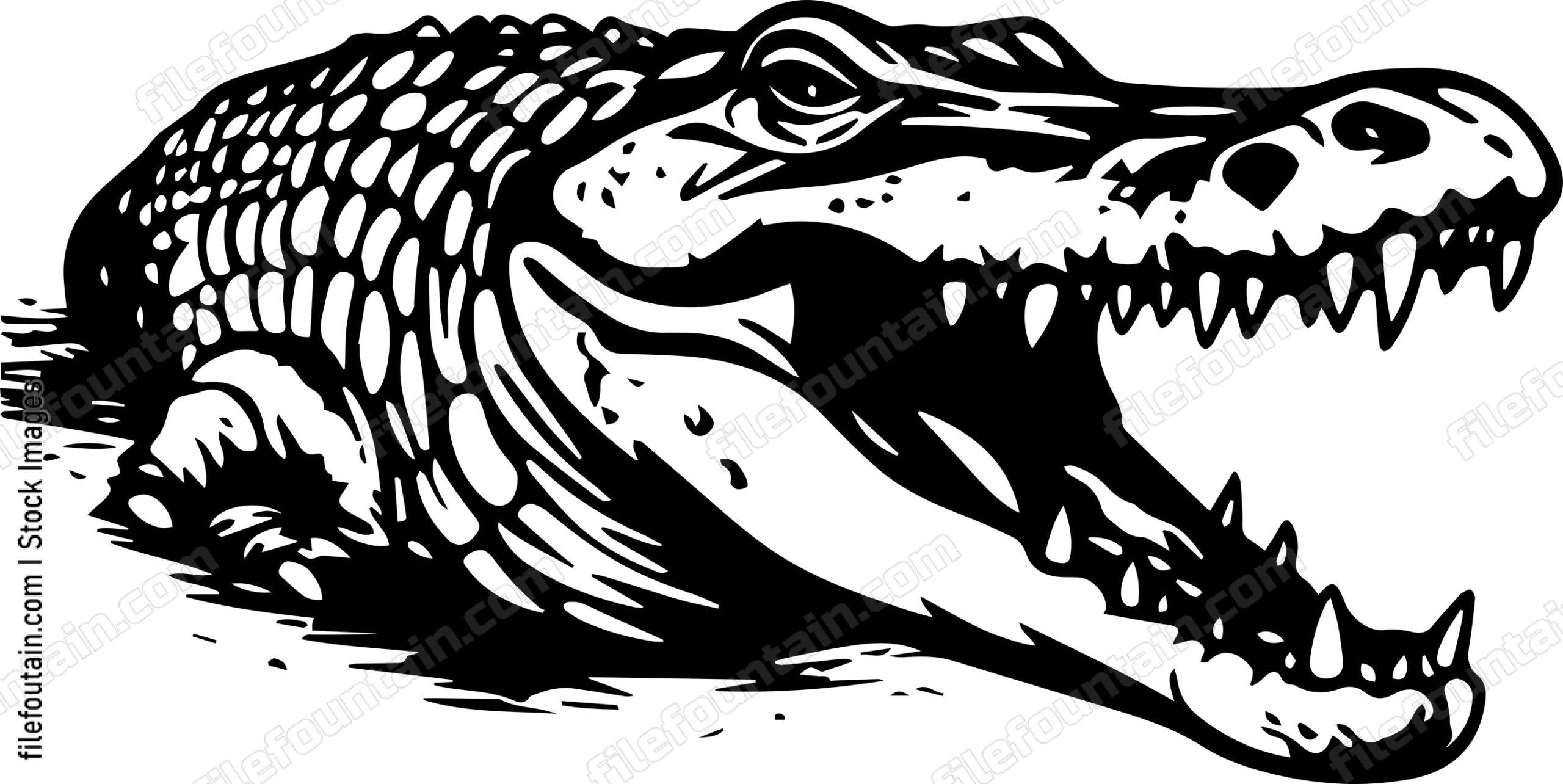 Crocodile