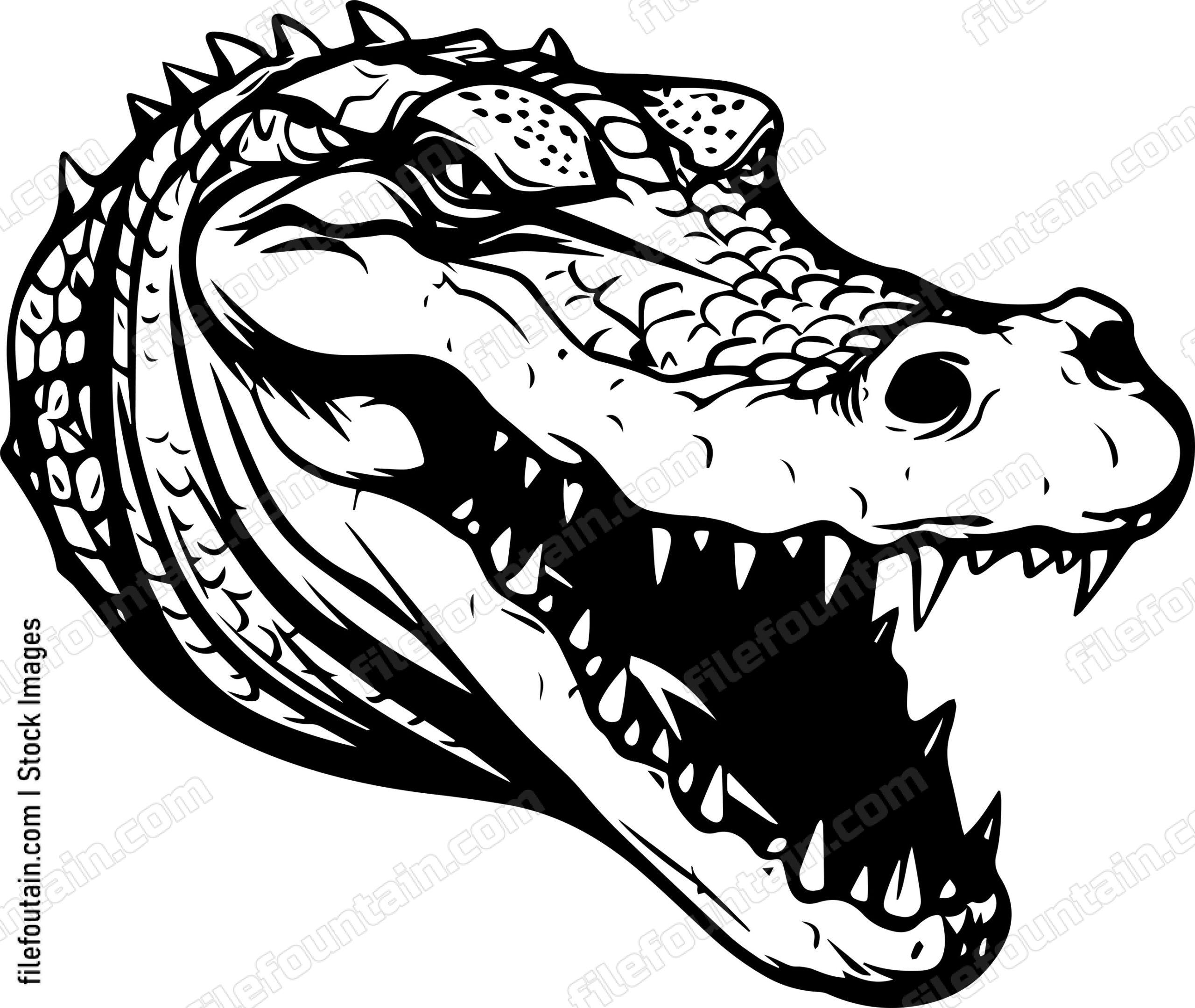 Crocodile