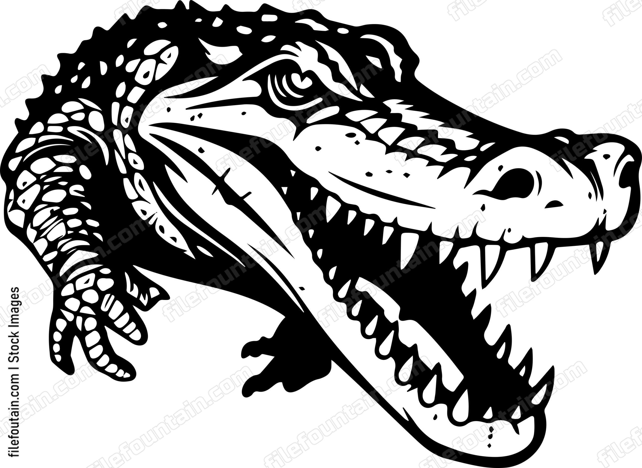 Crocodile