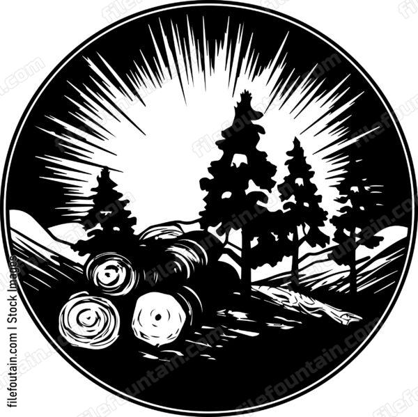 Deforestation