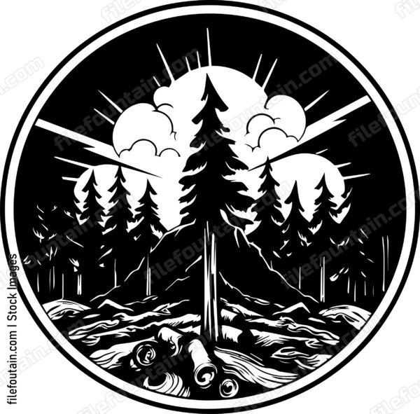 Deforestation