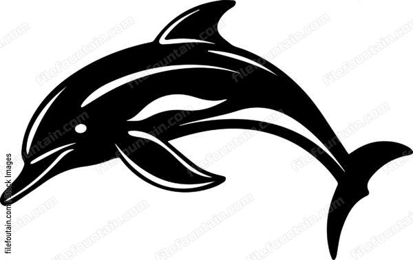 Dolphin