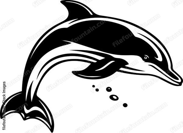 Dolphin