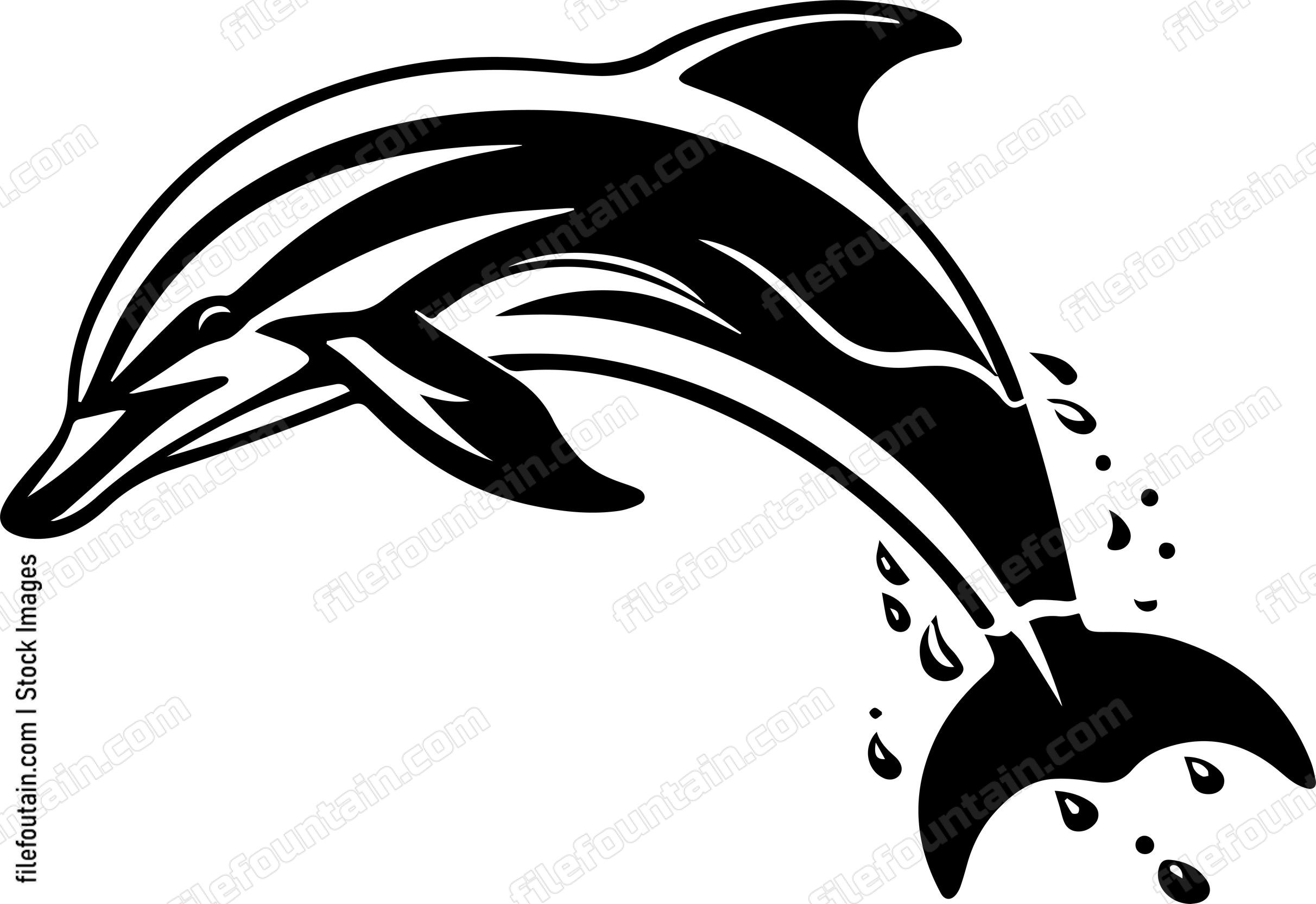 Dolphin