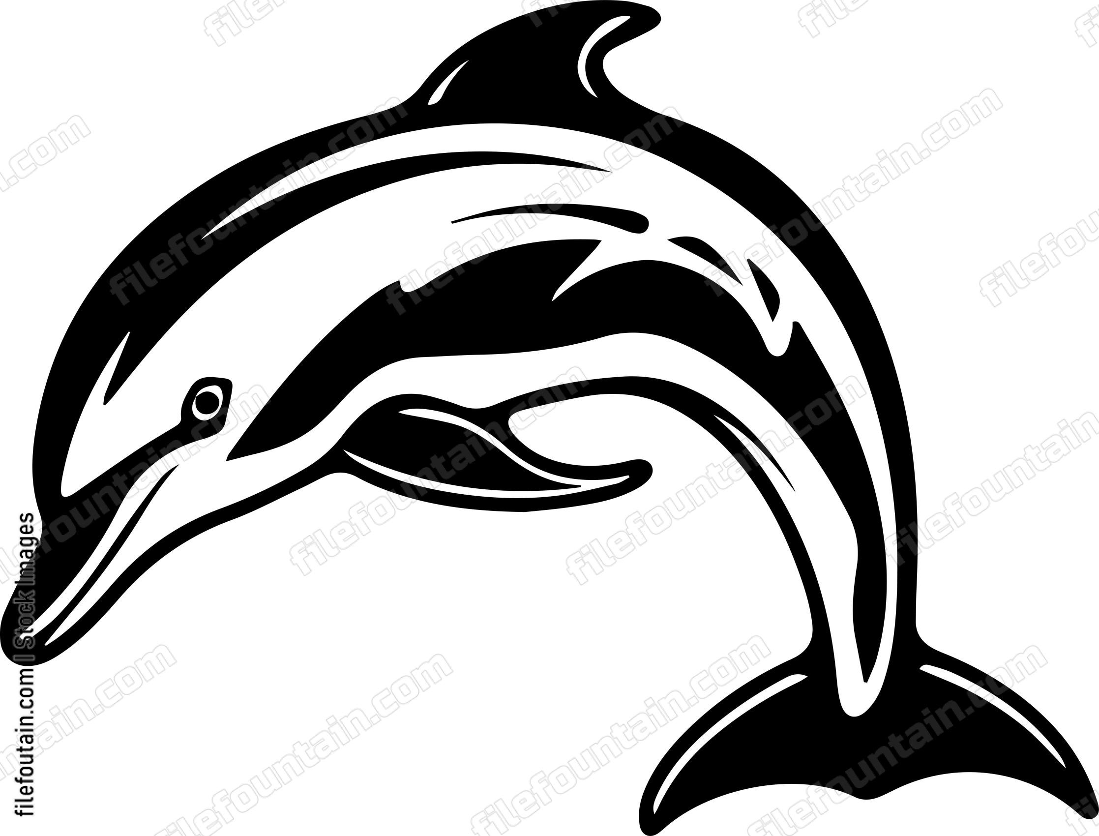 Dolphin