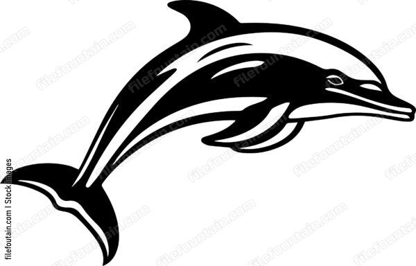 Dolphin
