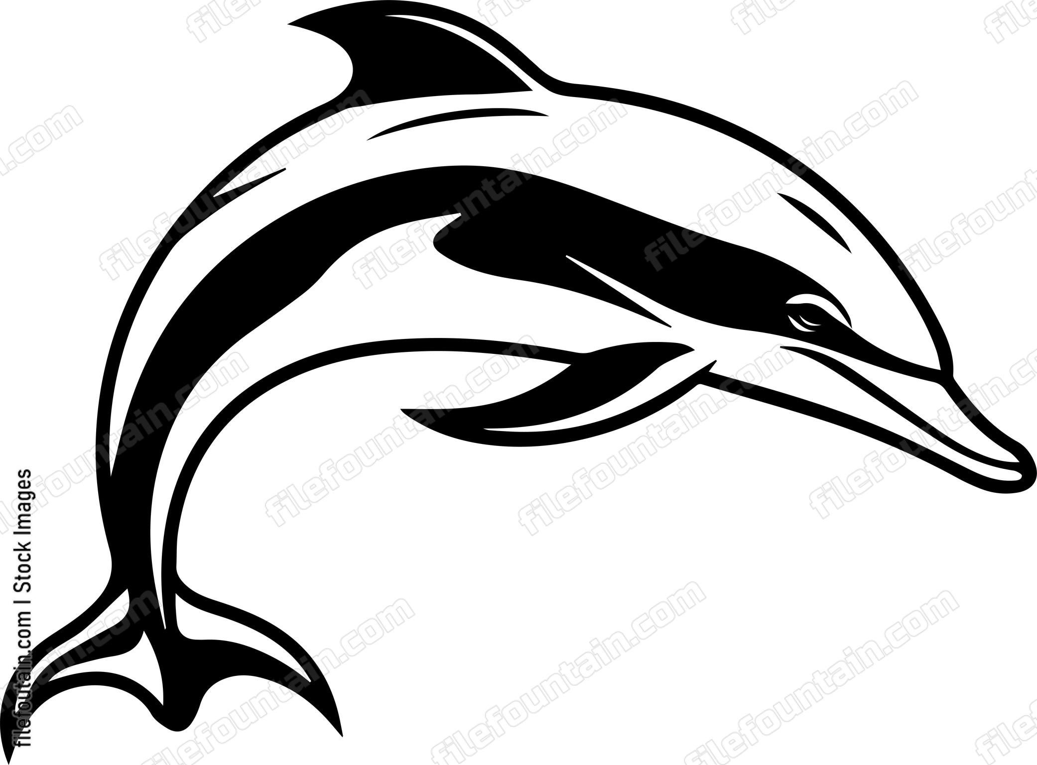 Amy Johnson'S Dolphin Research: Breakthrough Discoveries - ws74ctq