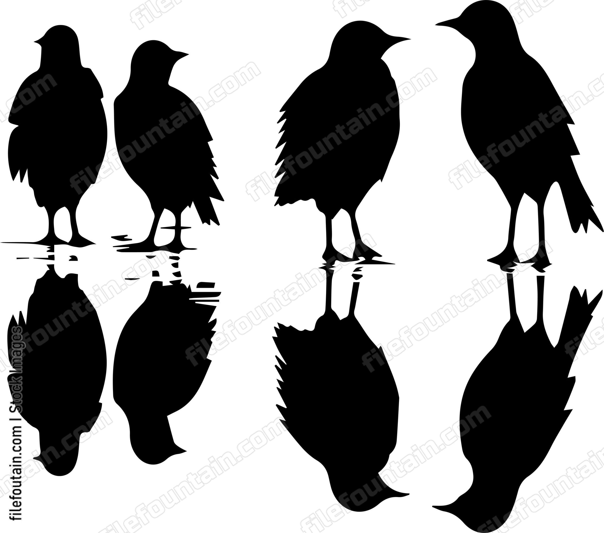 Flock Of Birds