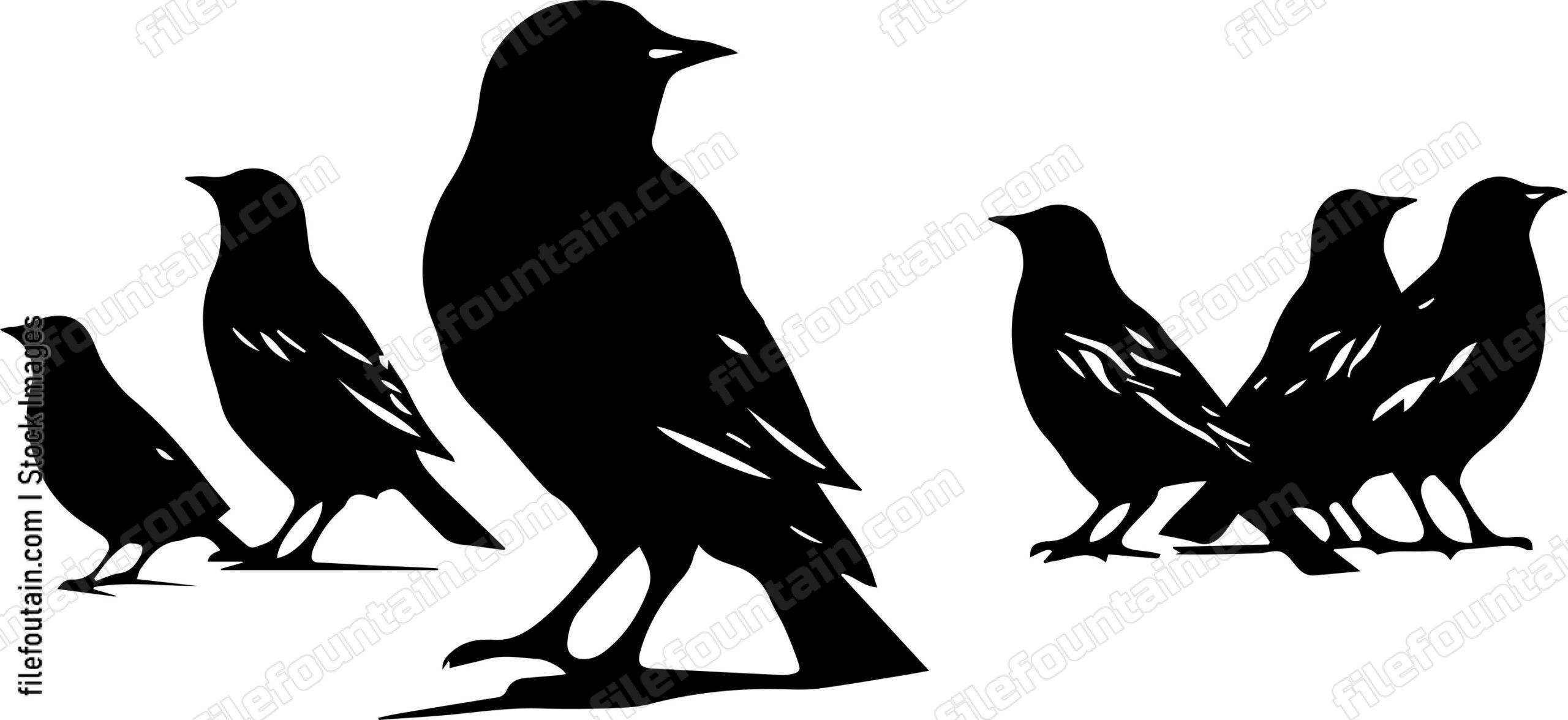 Flock Of Birds