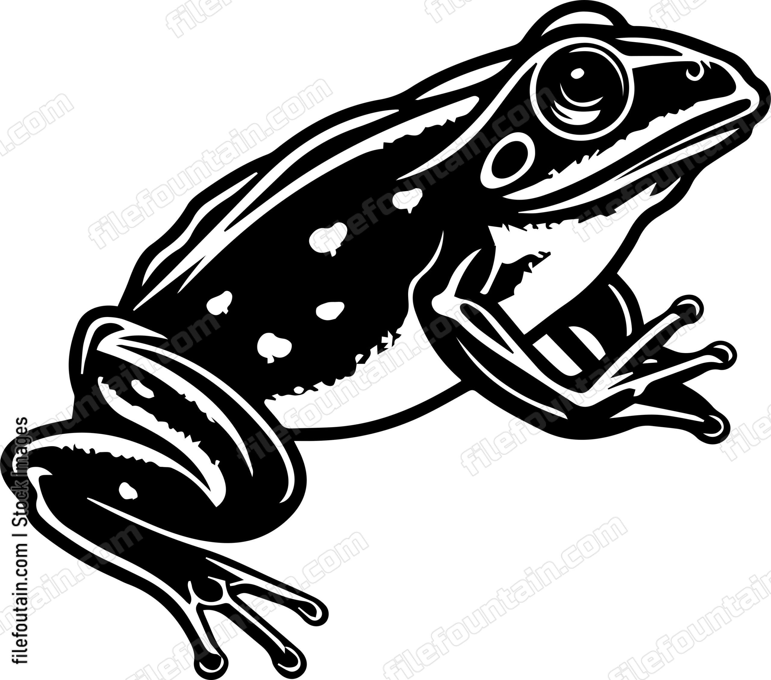 Frog Leaping Jumping