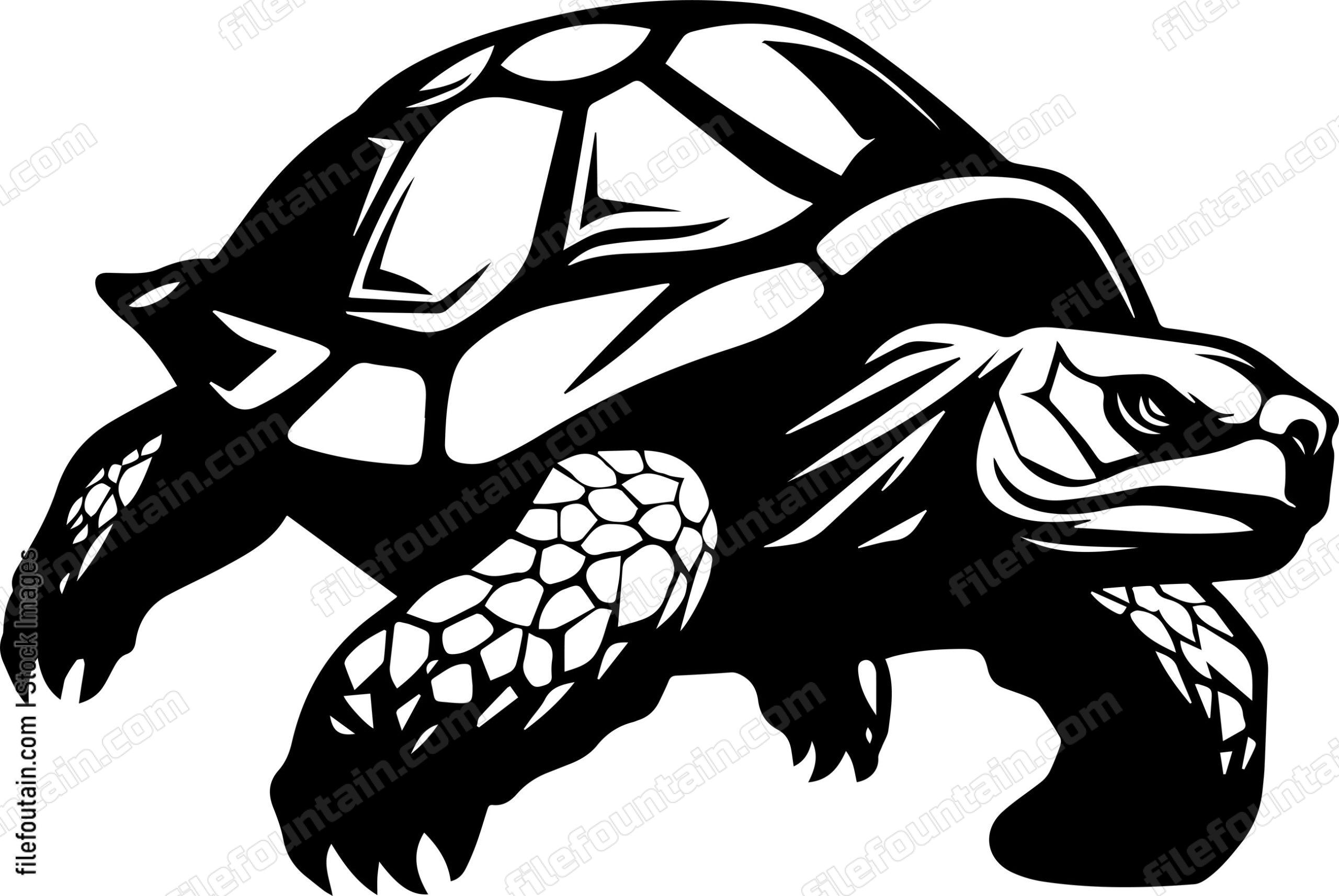 Giant Turtle
