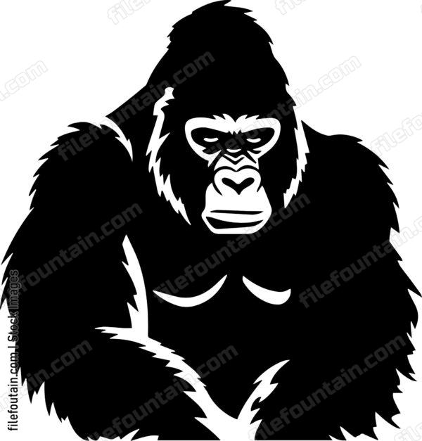 gorilla