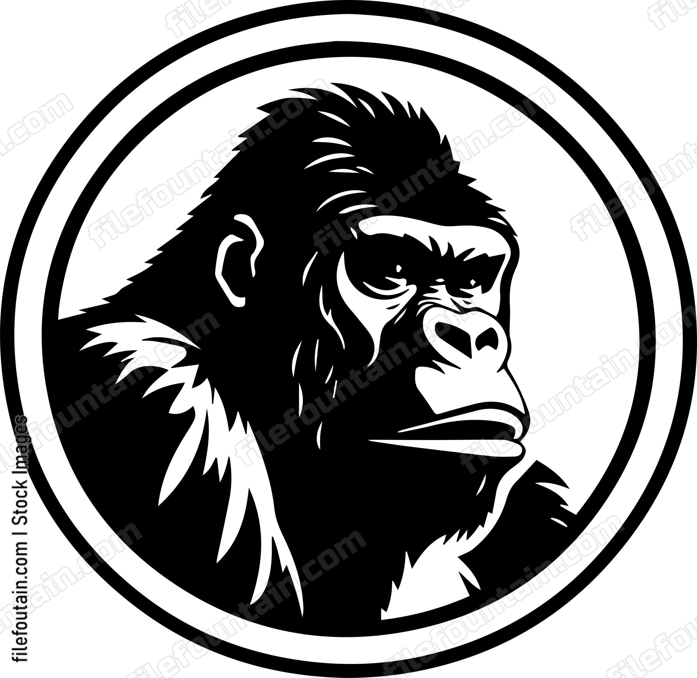 gorilla