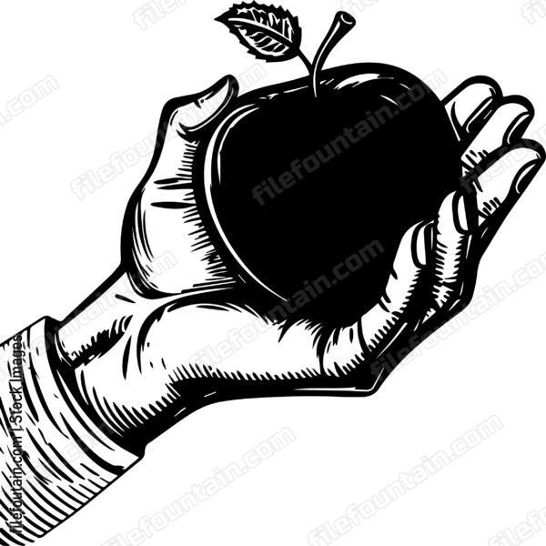 Hand Holding an Apple