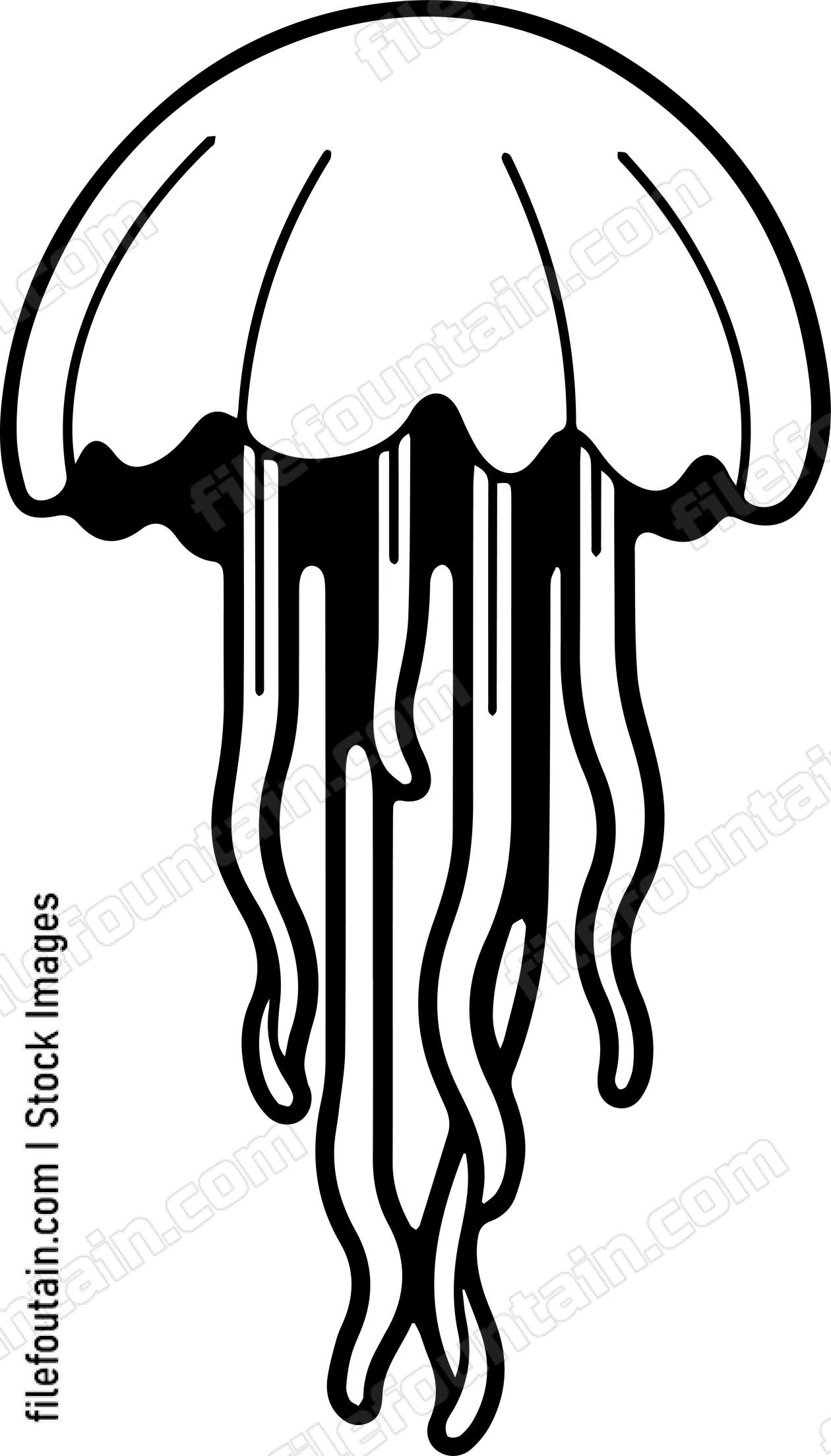 Jellyfish