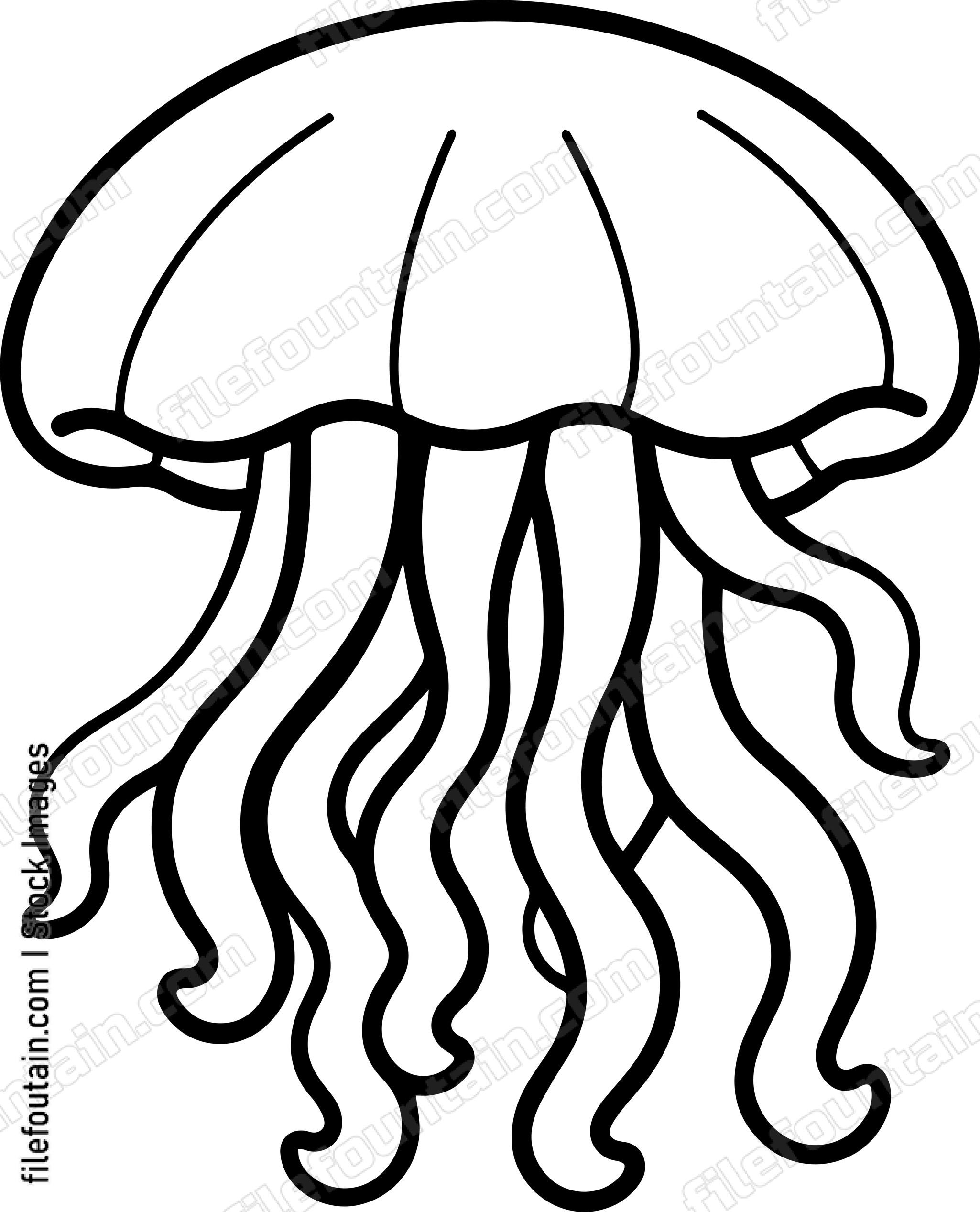 Jellyfish