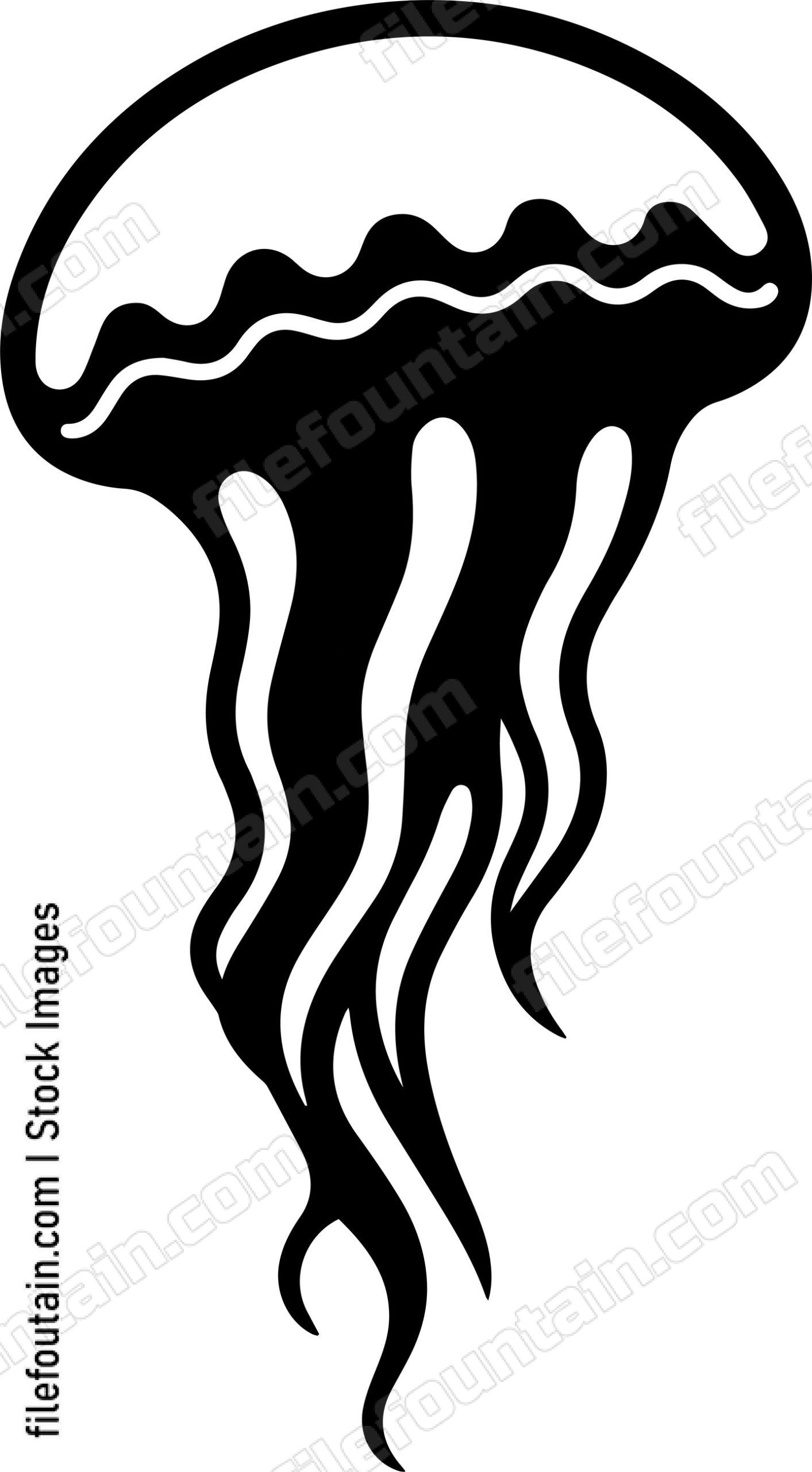 Jellyfish