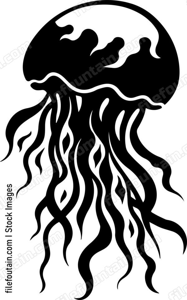jellyfish