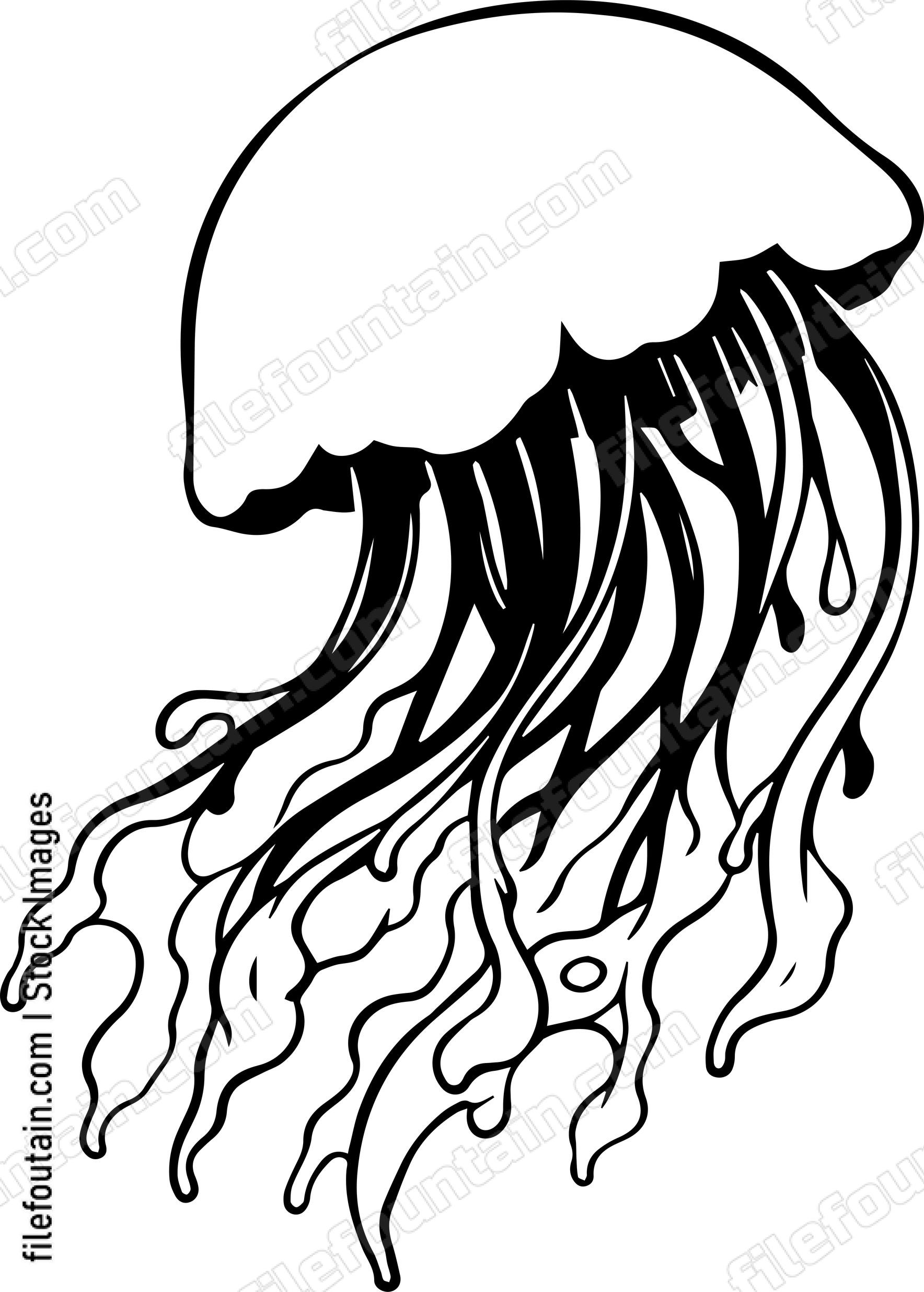jellyfish