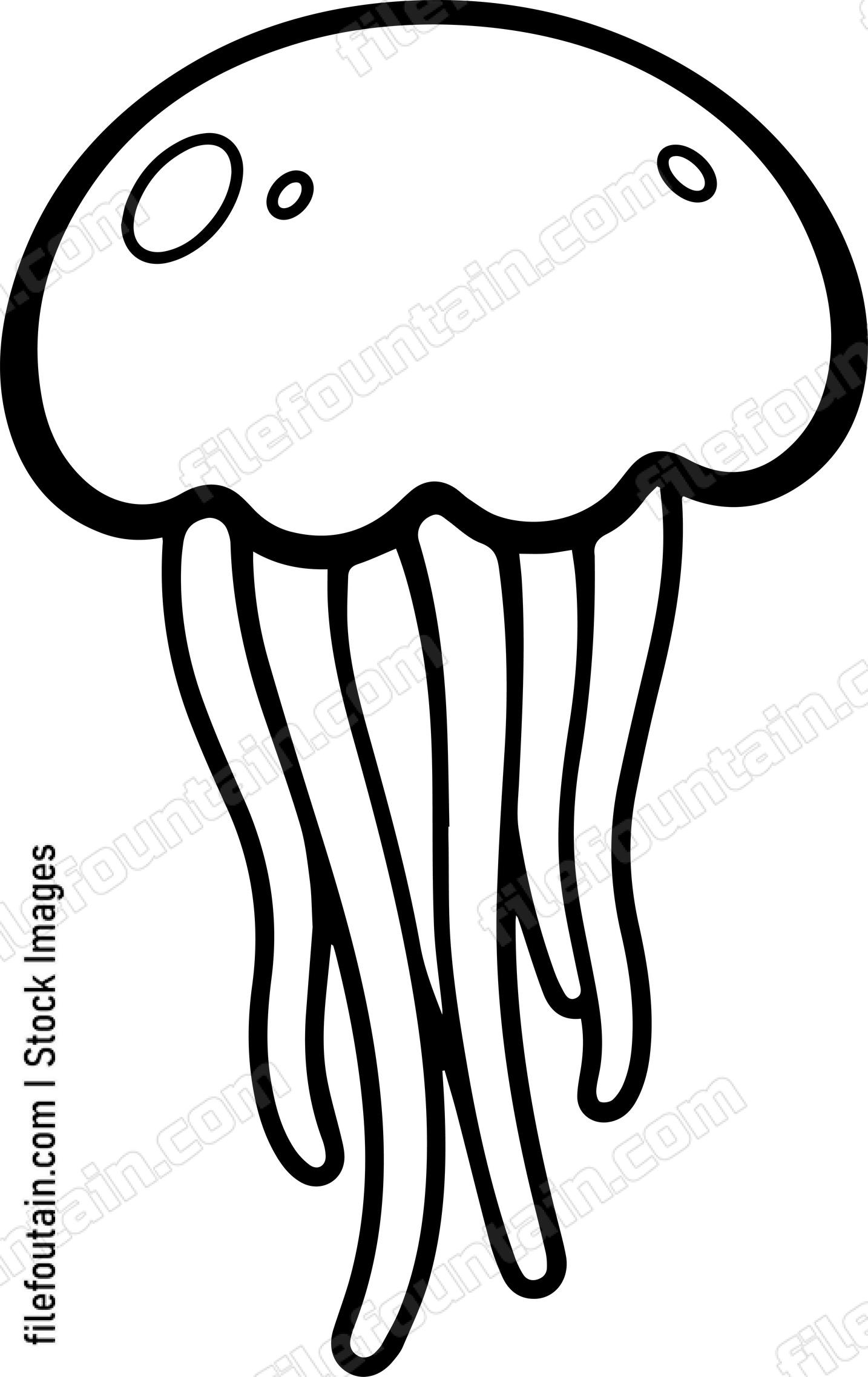 Jellyfish