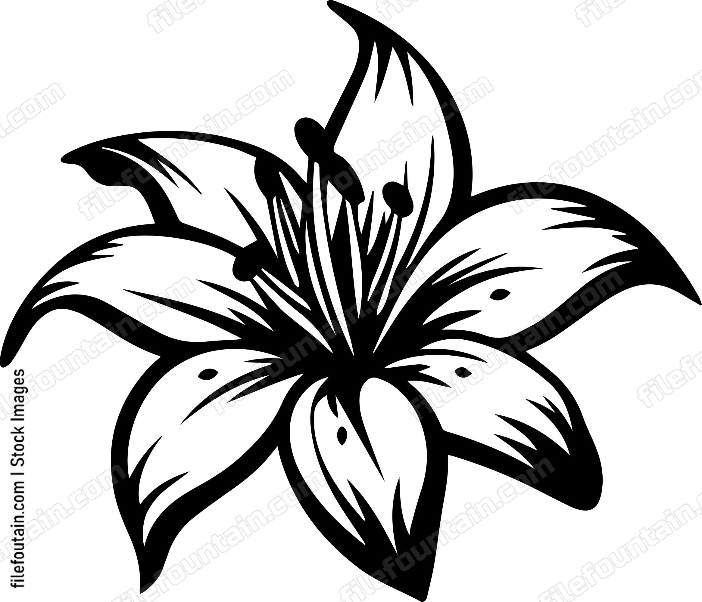 Lilly Flower