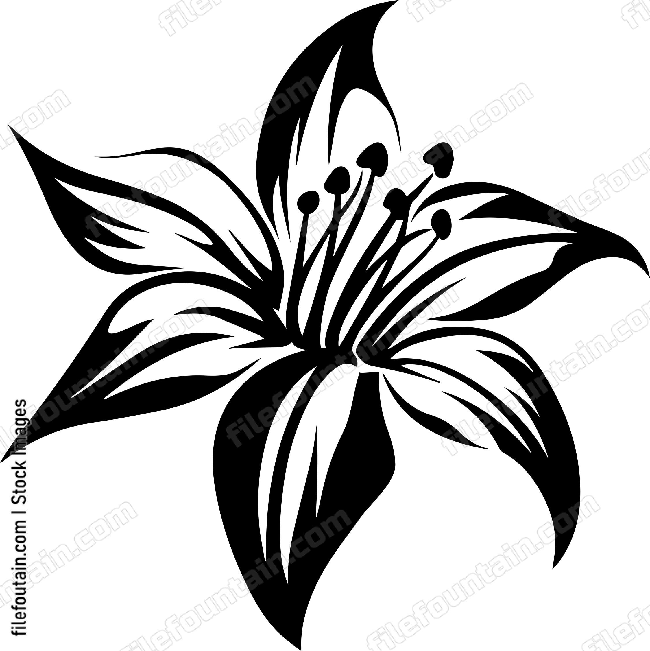 Lilly Flower