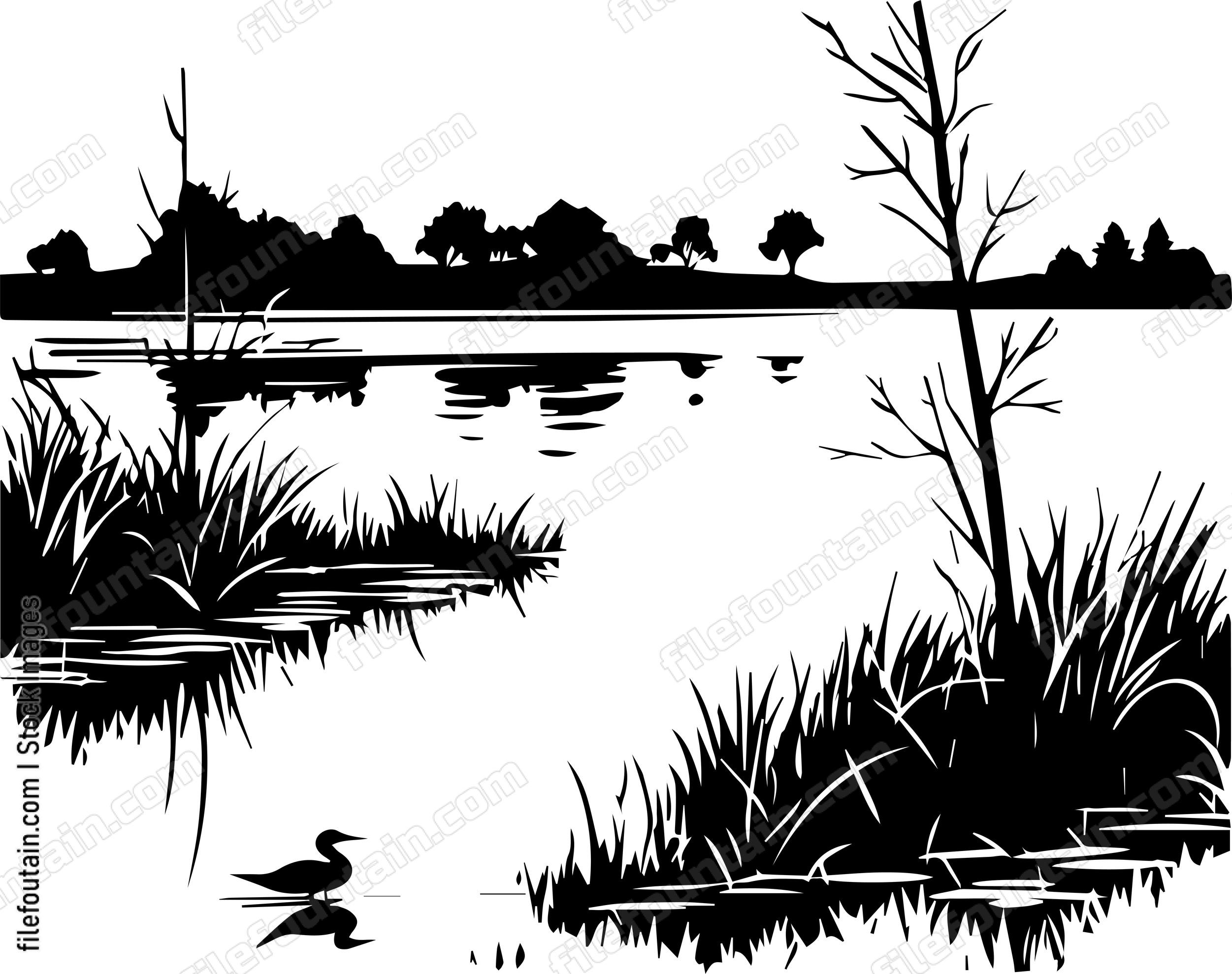 marshes