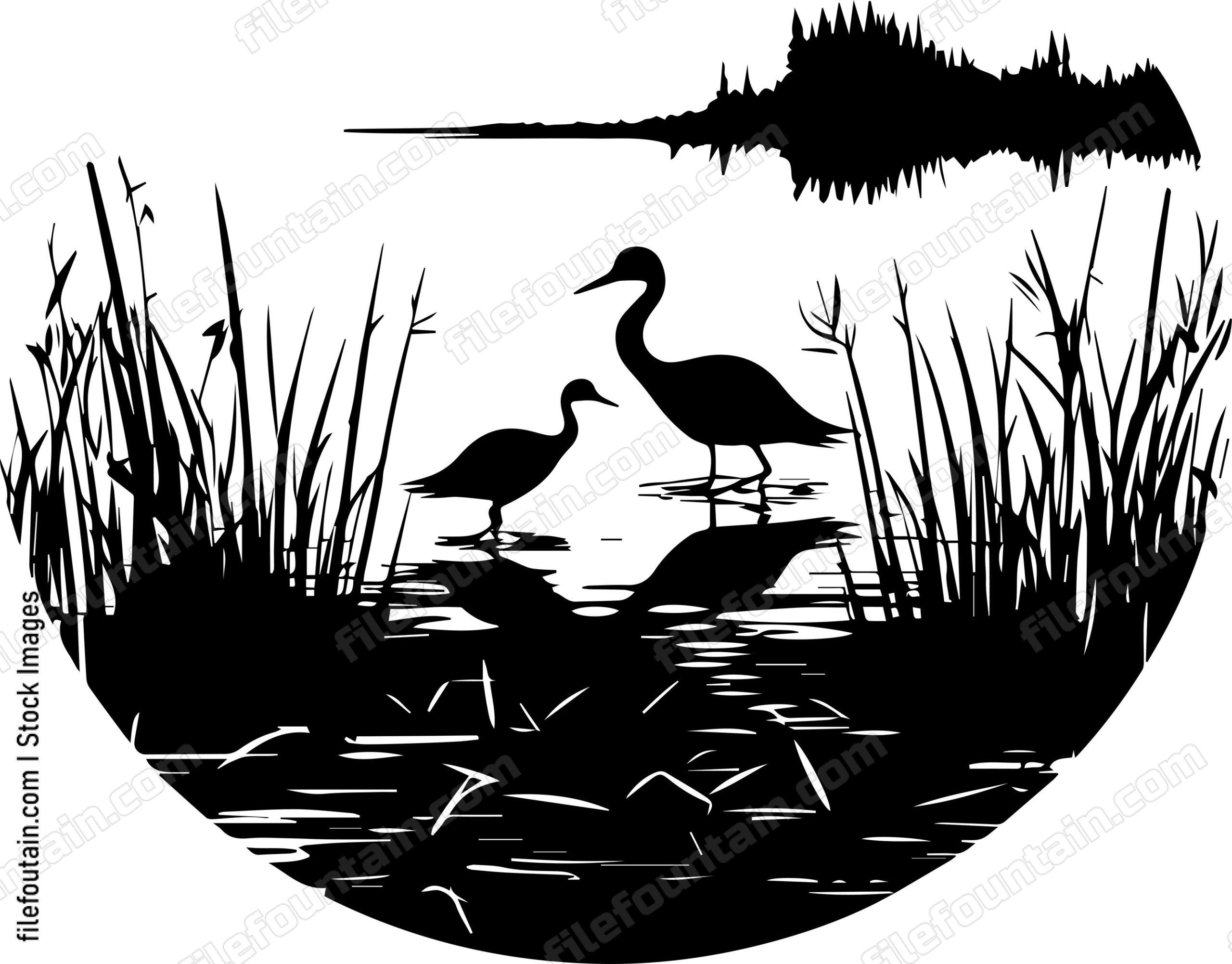 marshes