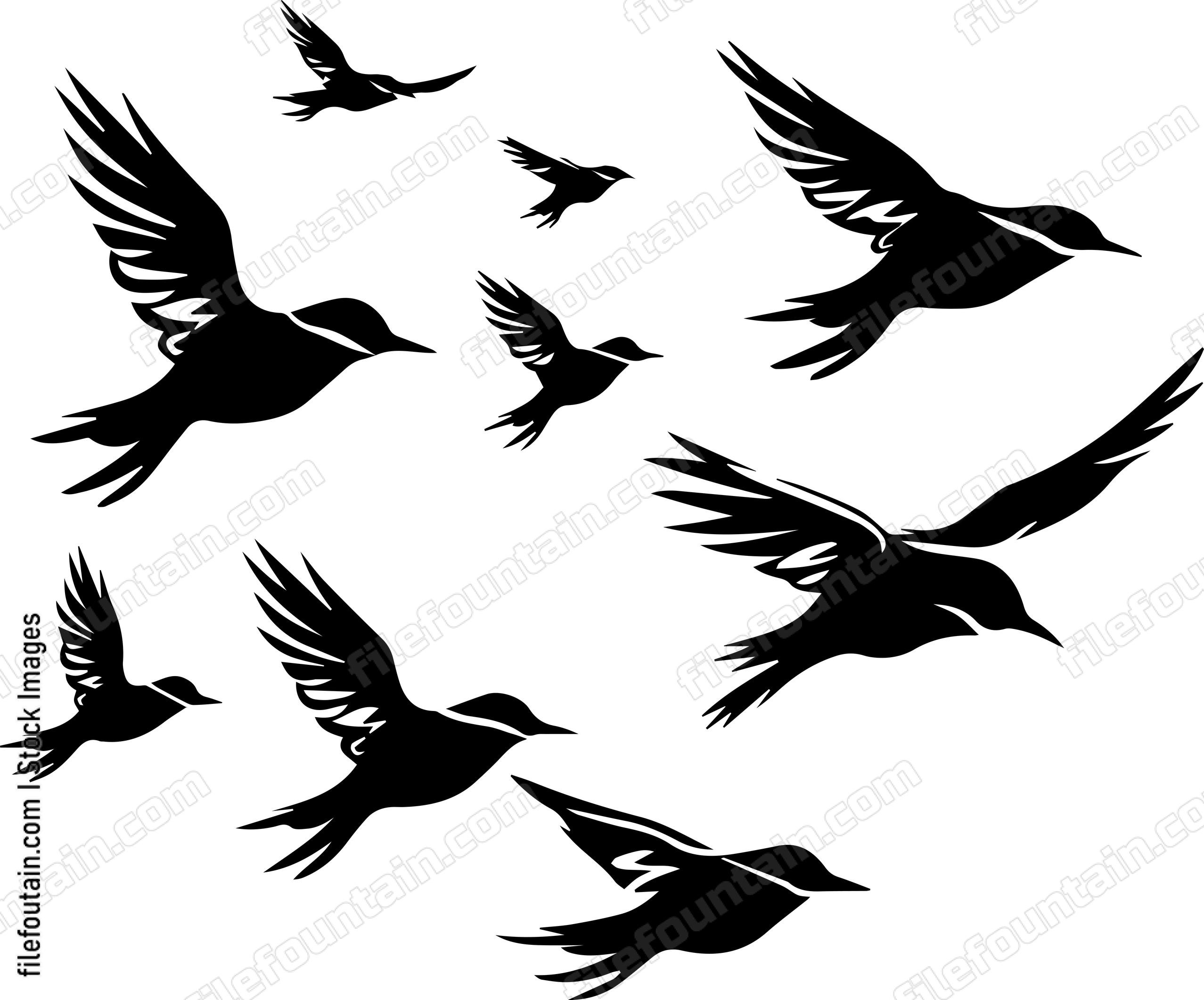 Migrating Birds