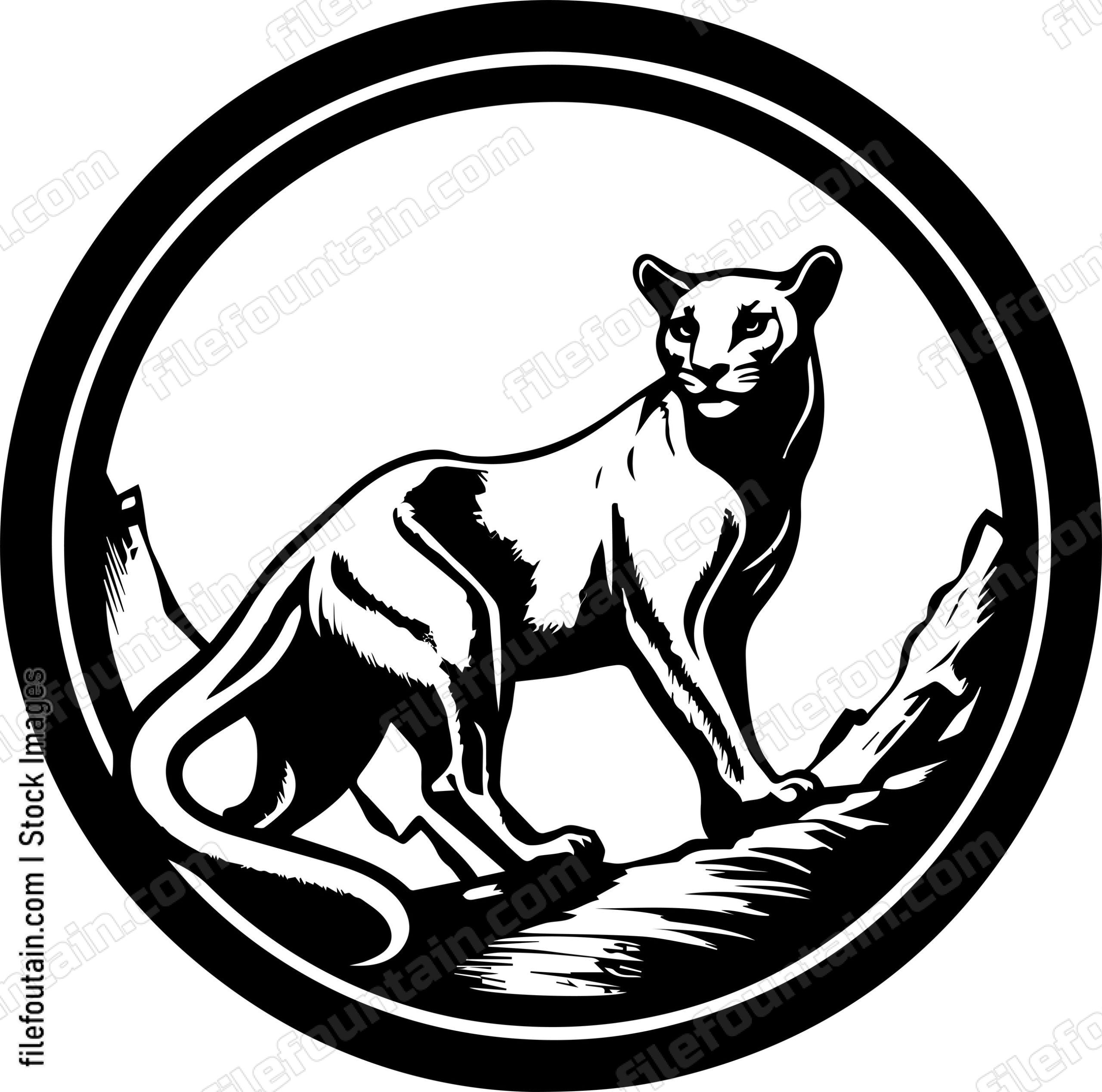 Mountain Lion