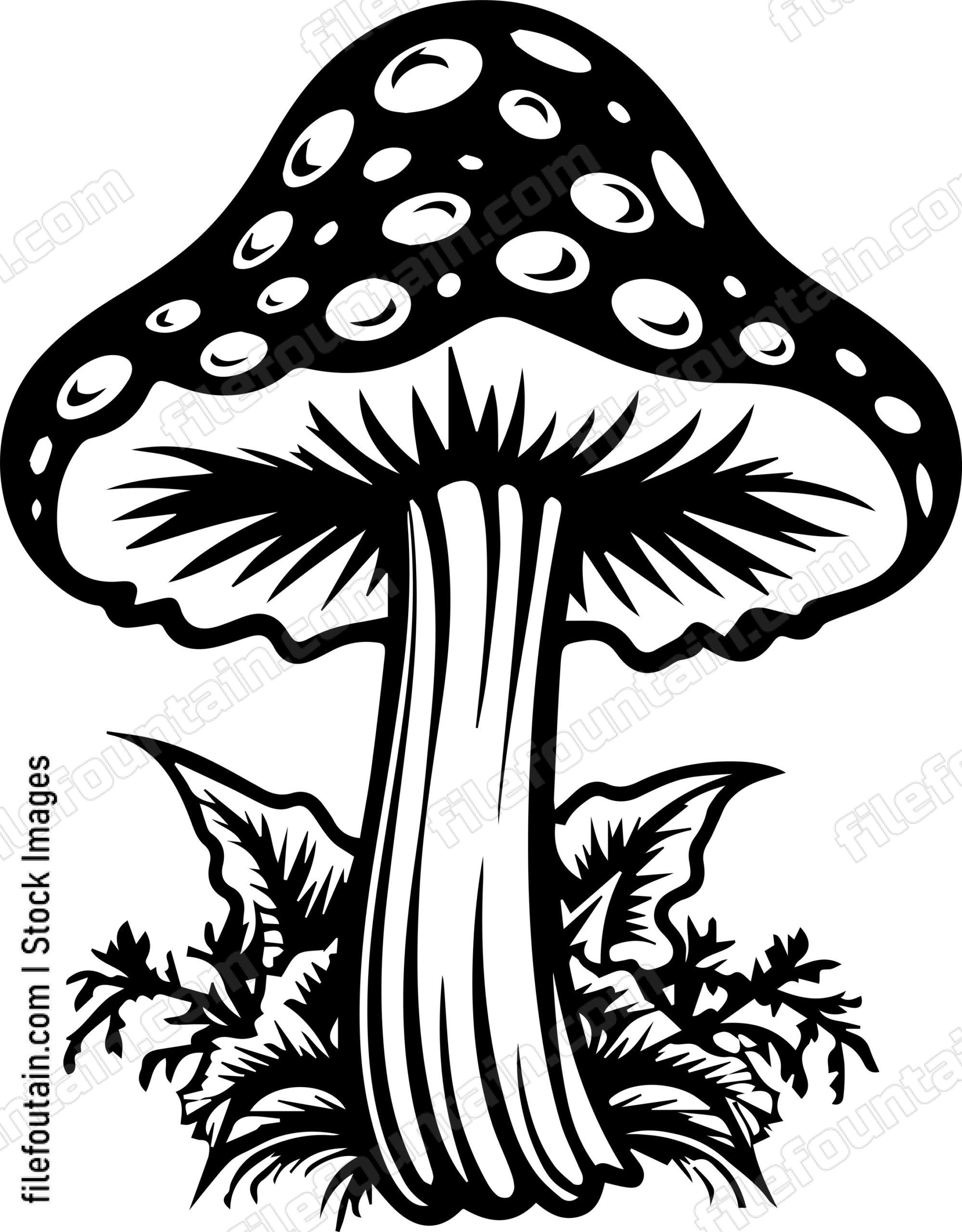 Mushroom
