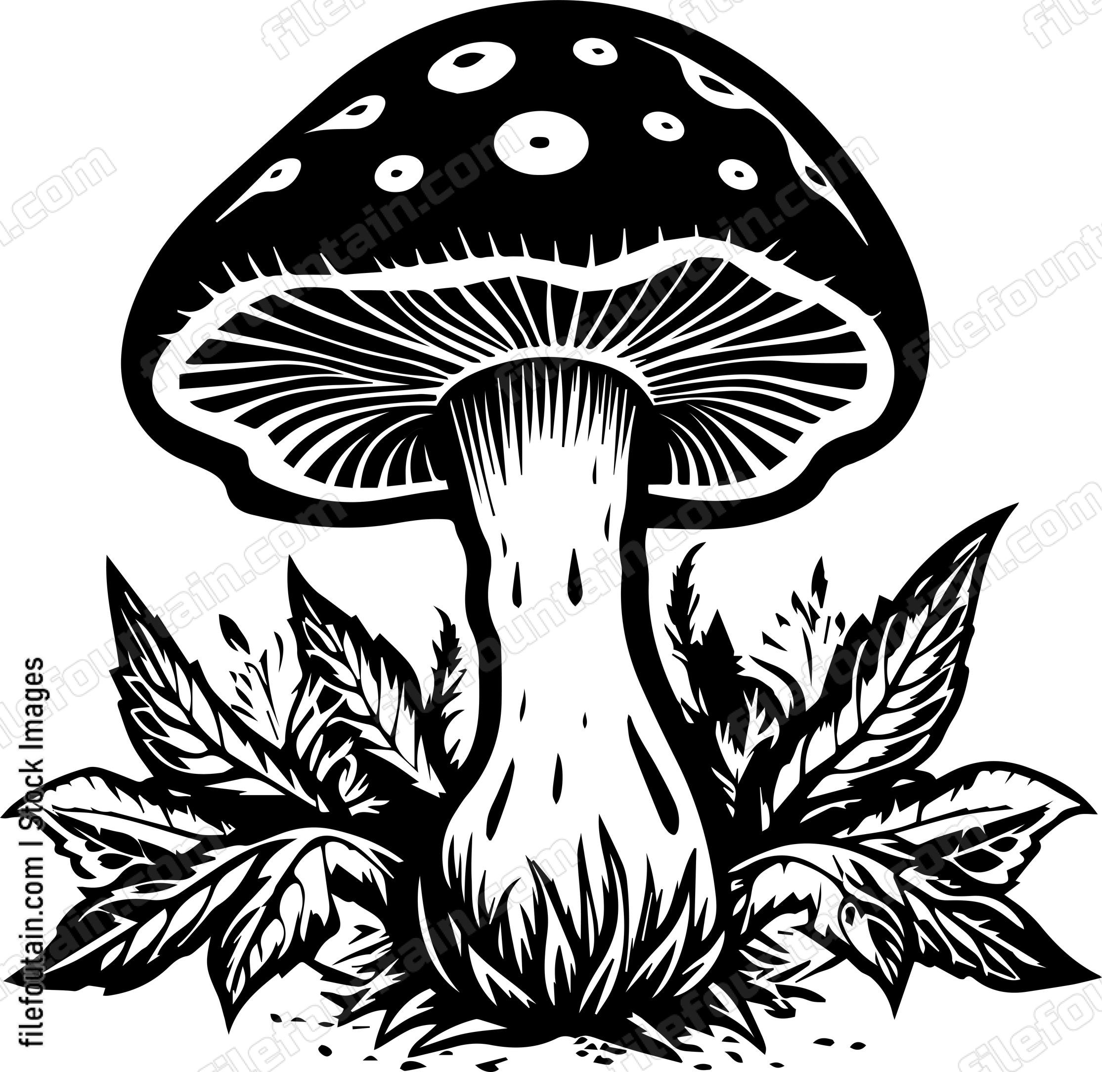 Mushroom