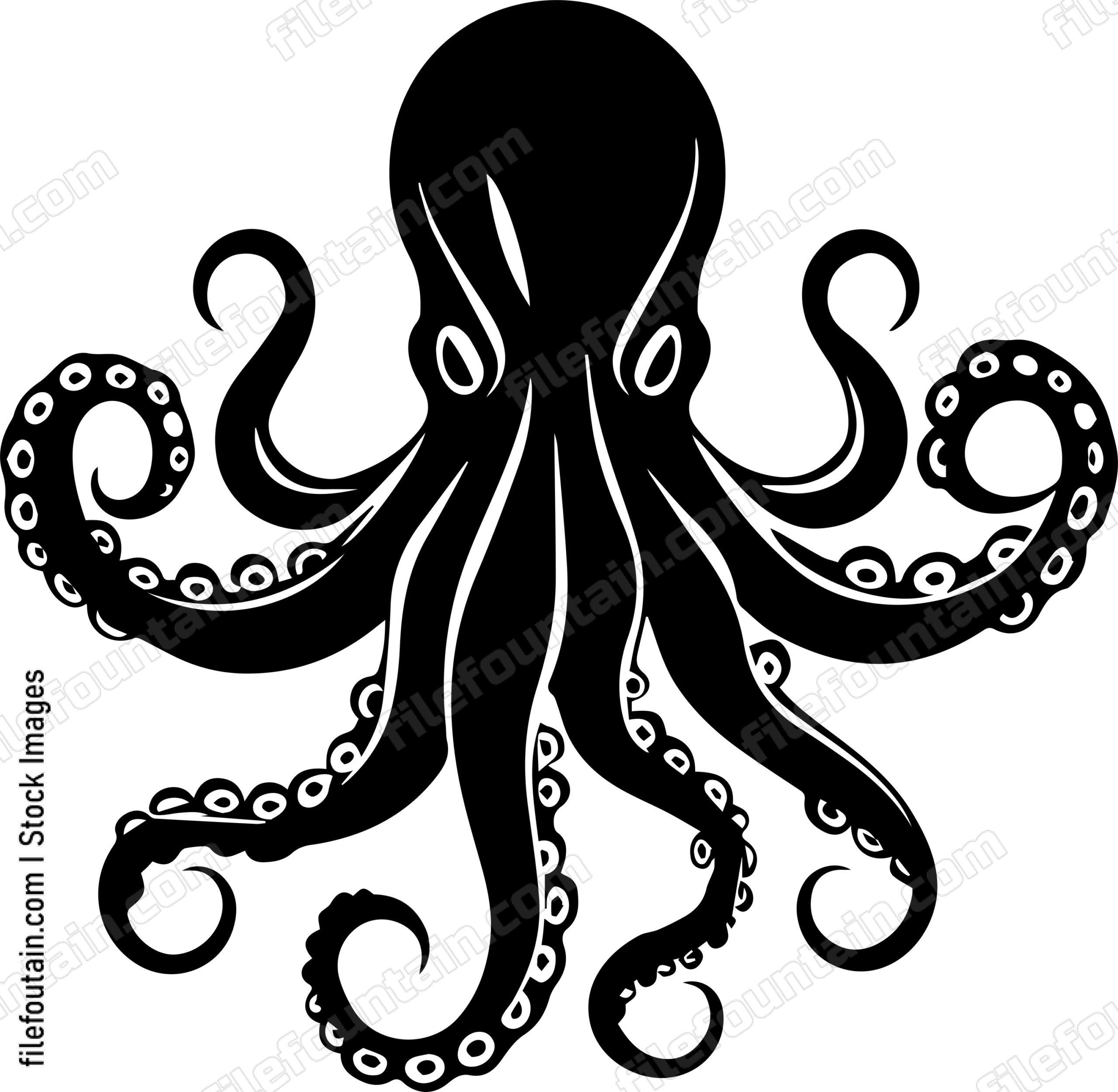 Octopus