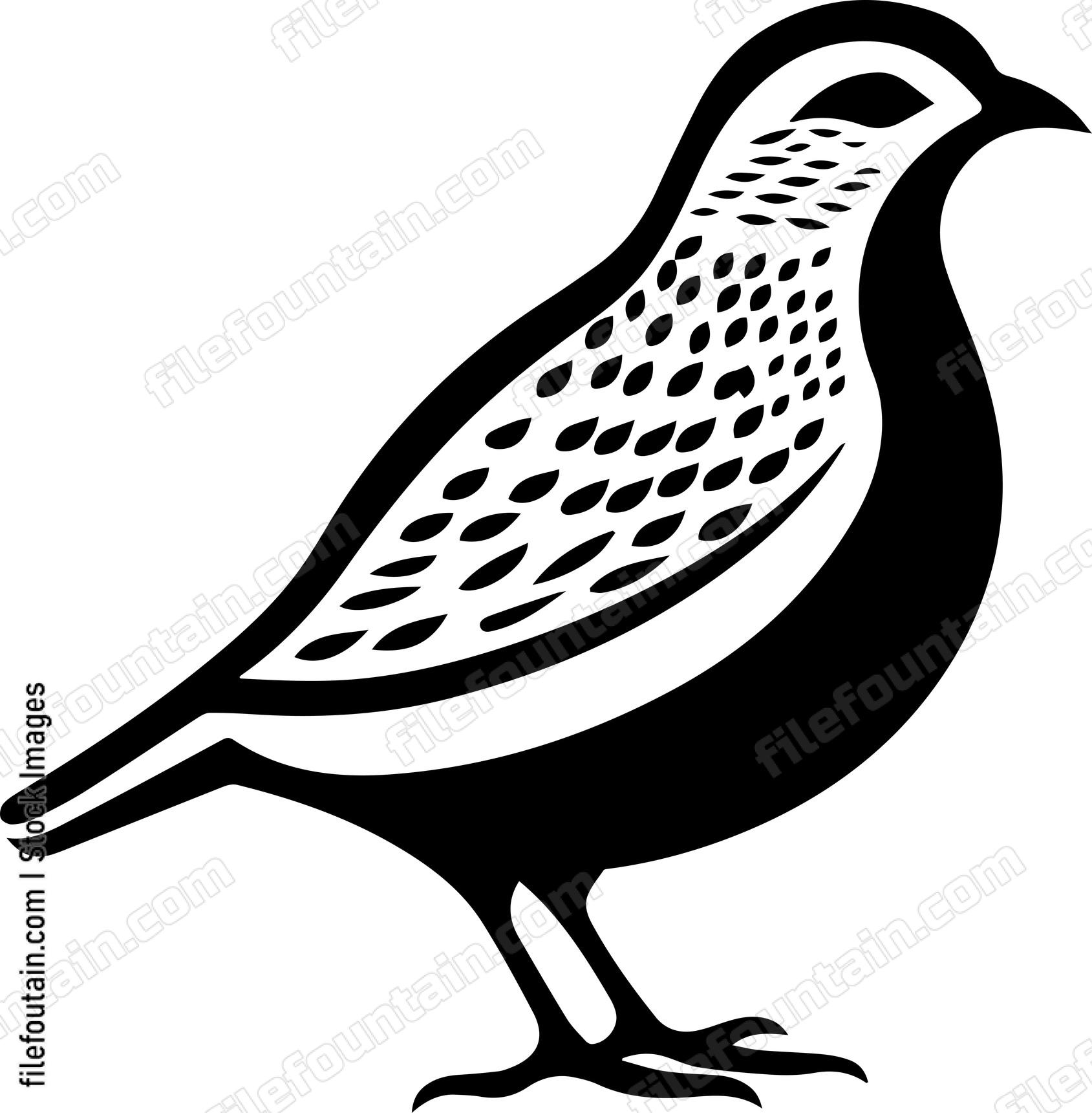 Quail