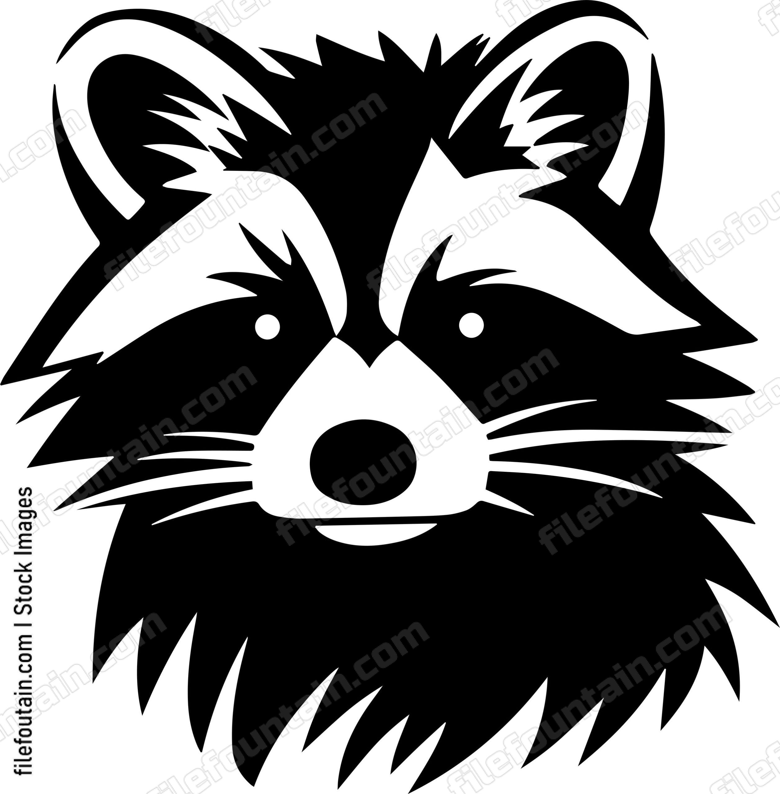 Raccoon