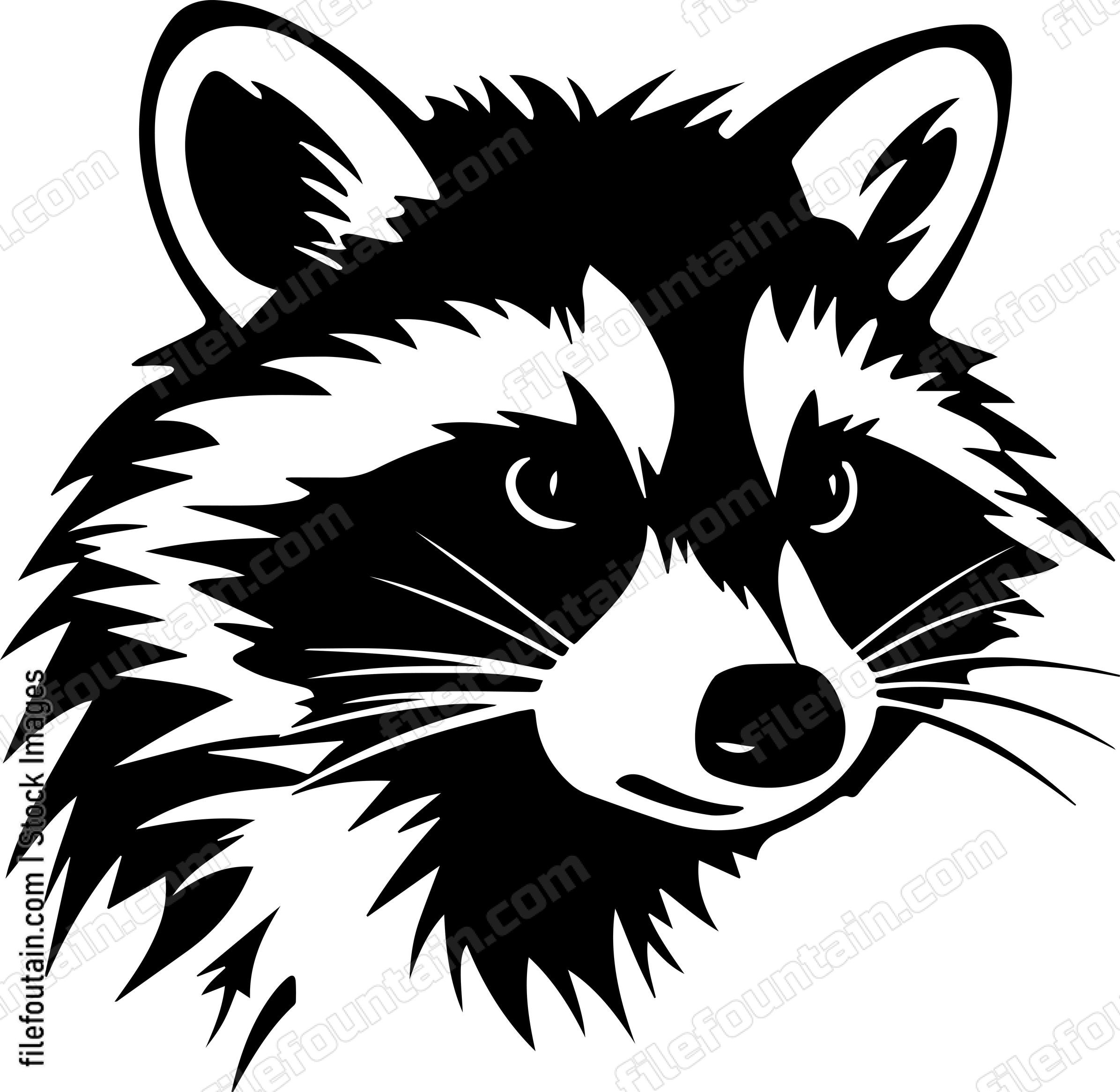Raccoon