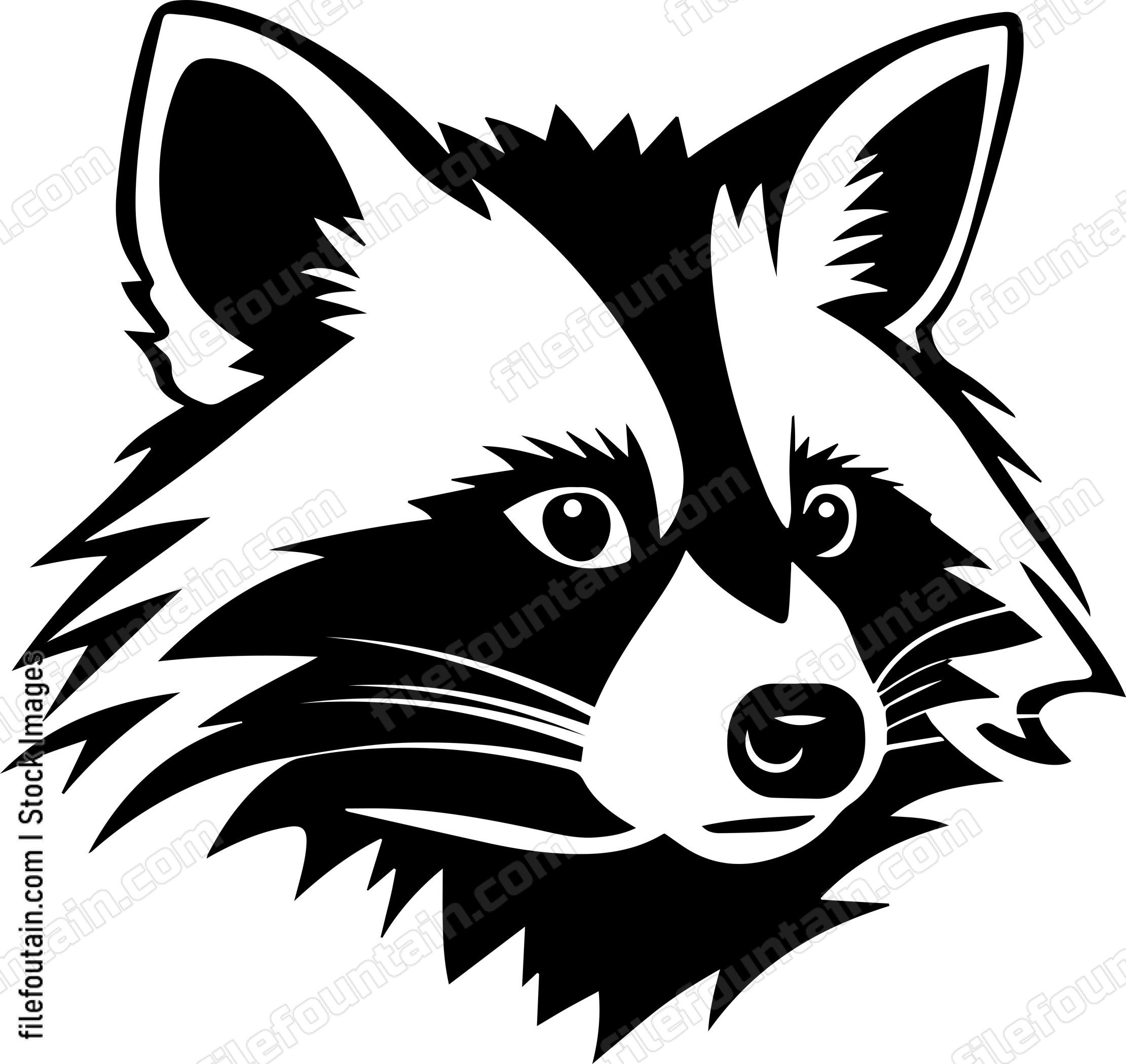 Raccoon