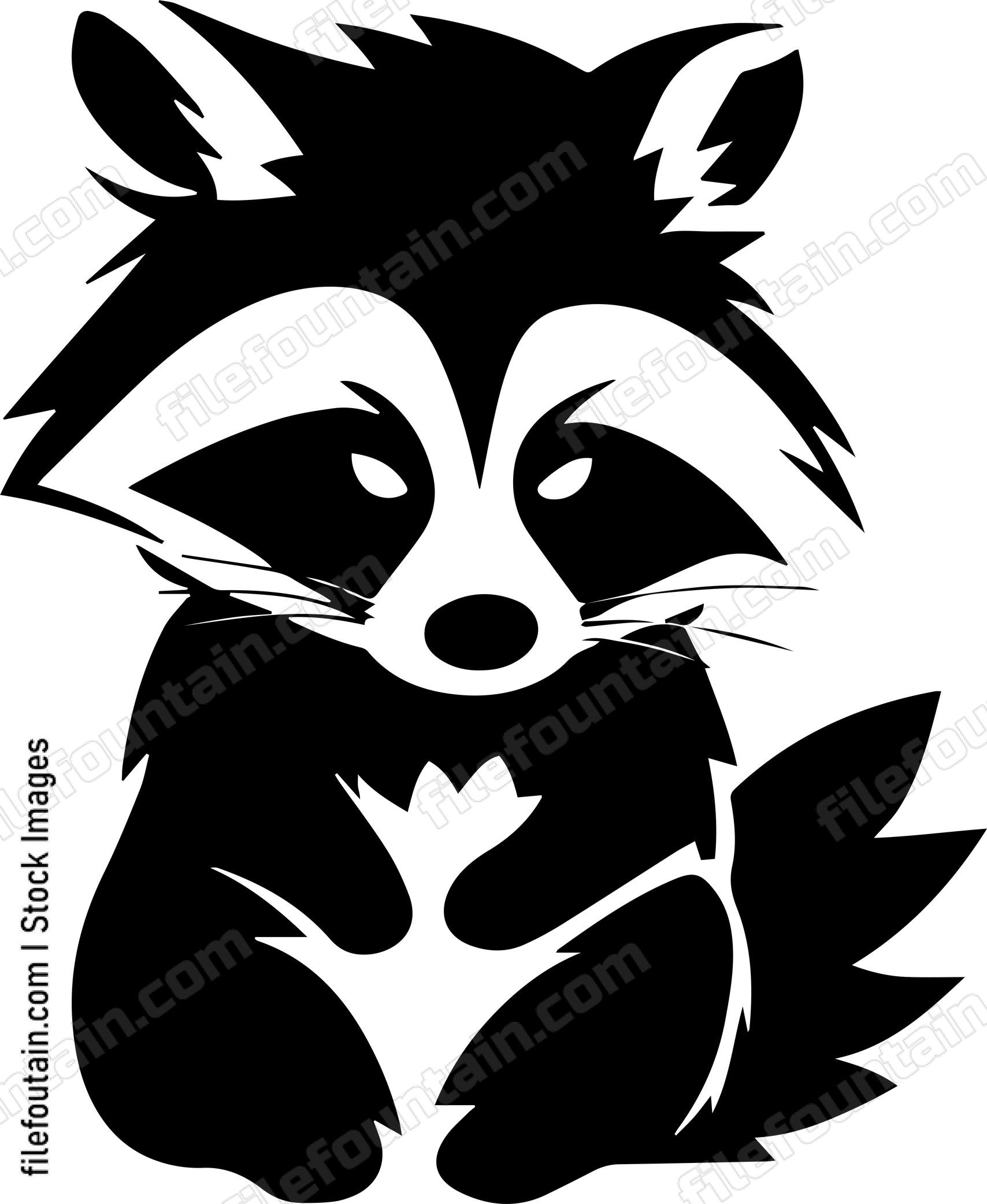 Raccoon